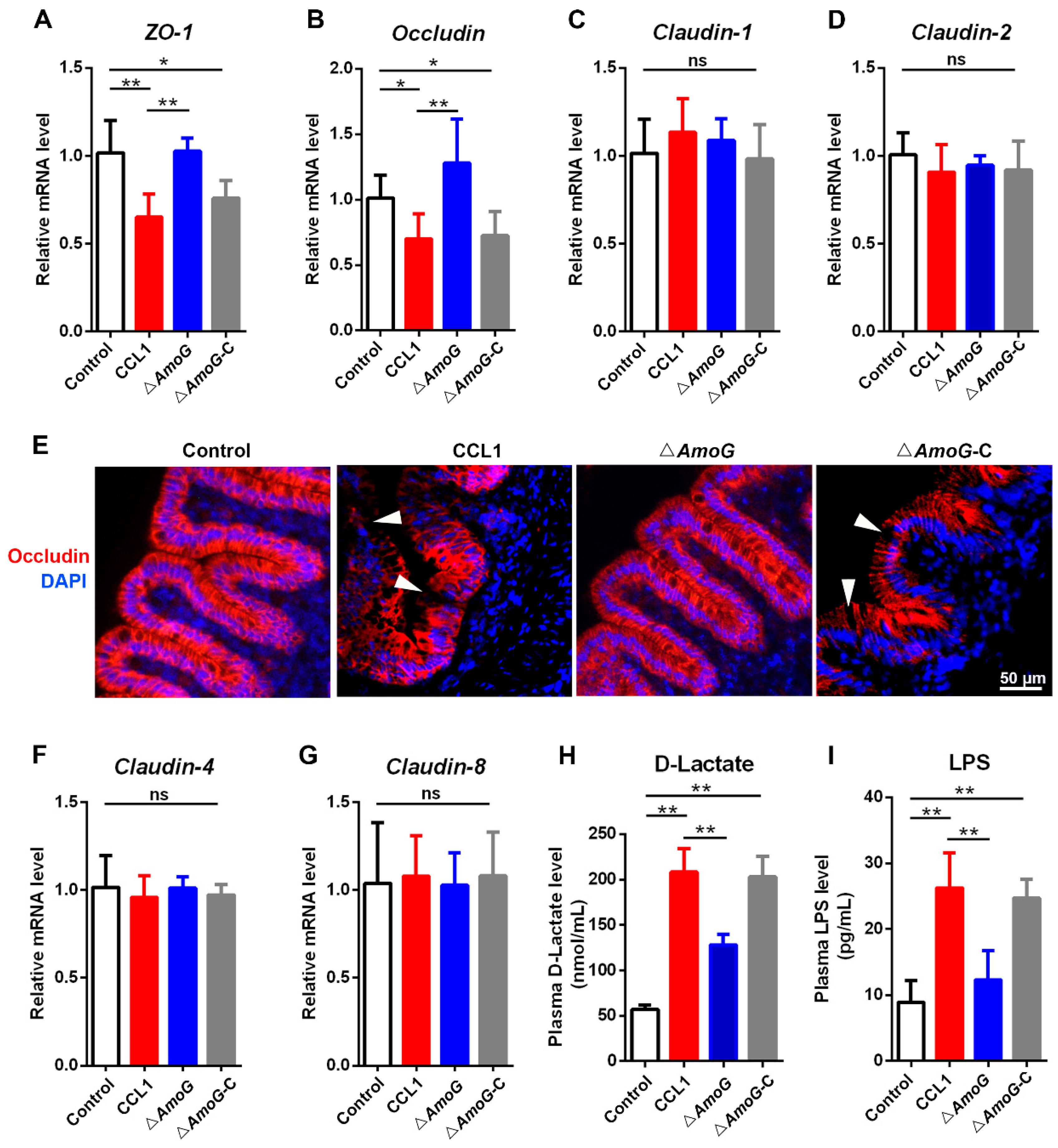 Vaccines 13 00195 g005 Vaccines 13 00195 g005