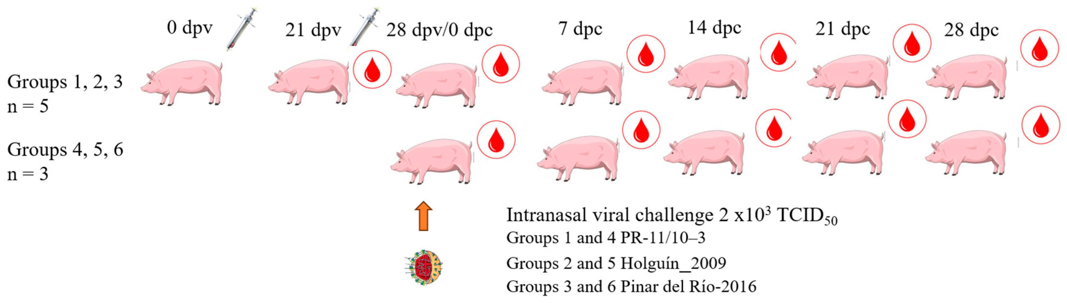 Vaccines 13 00196 g001