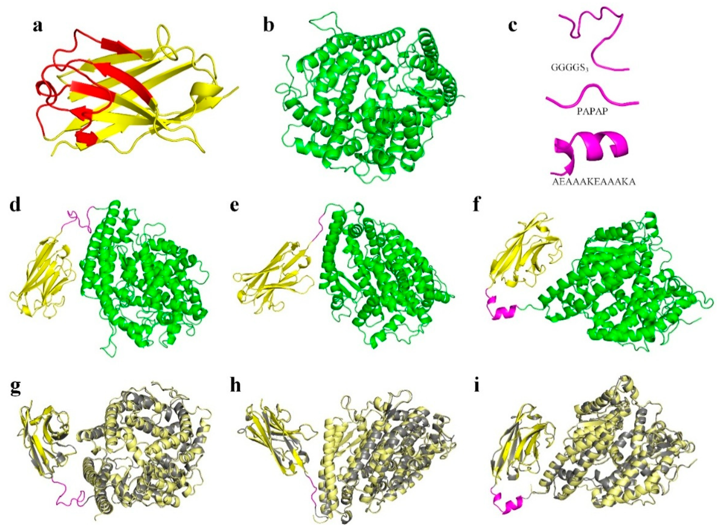 Vaccines 13 00199 g002