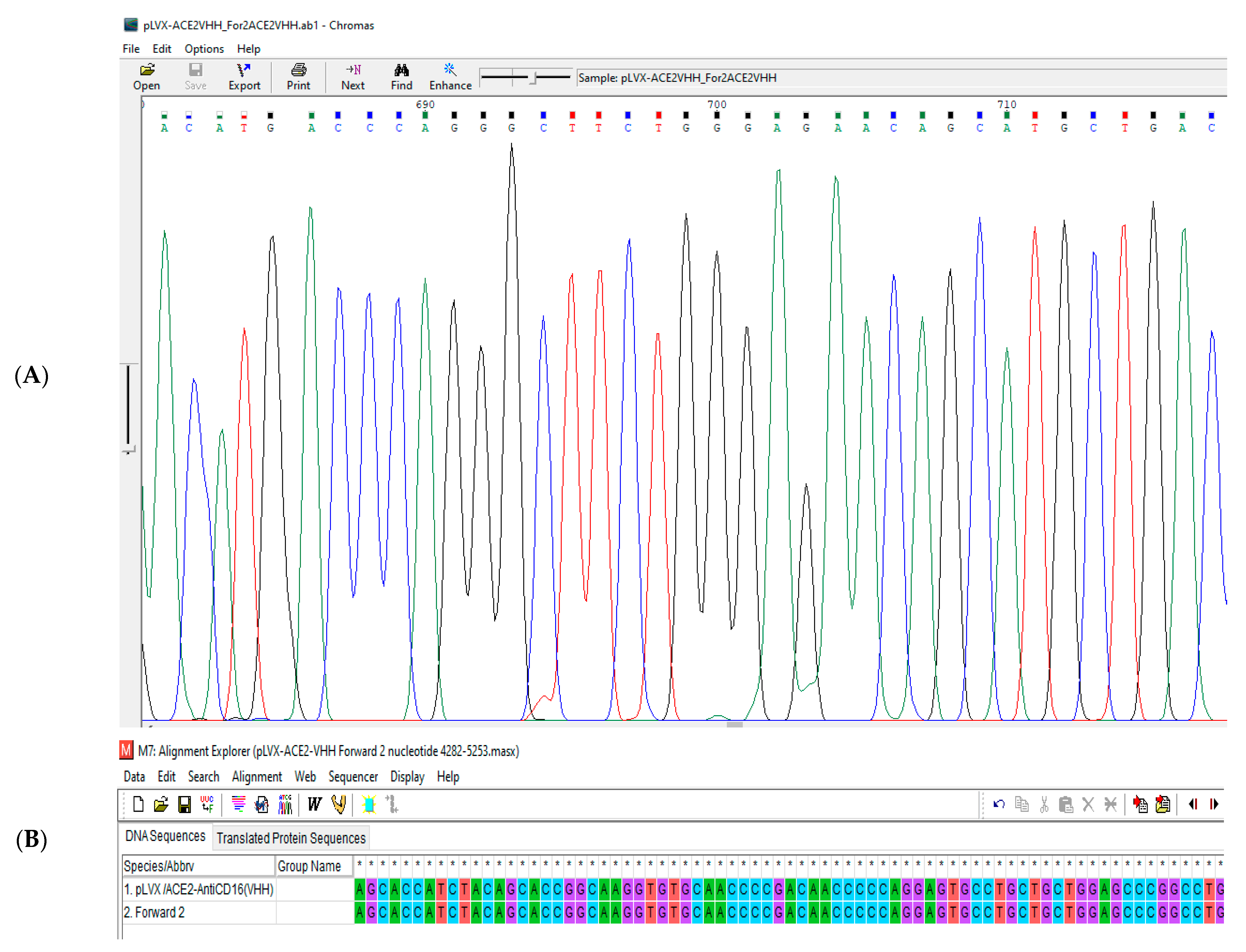 Vaccines 13 00199 g010