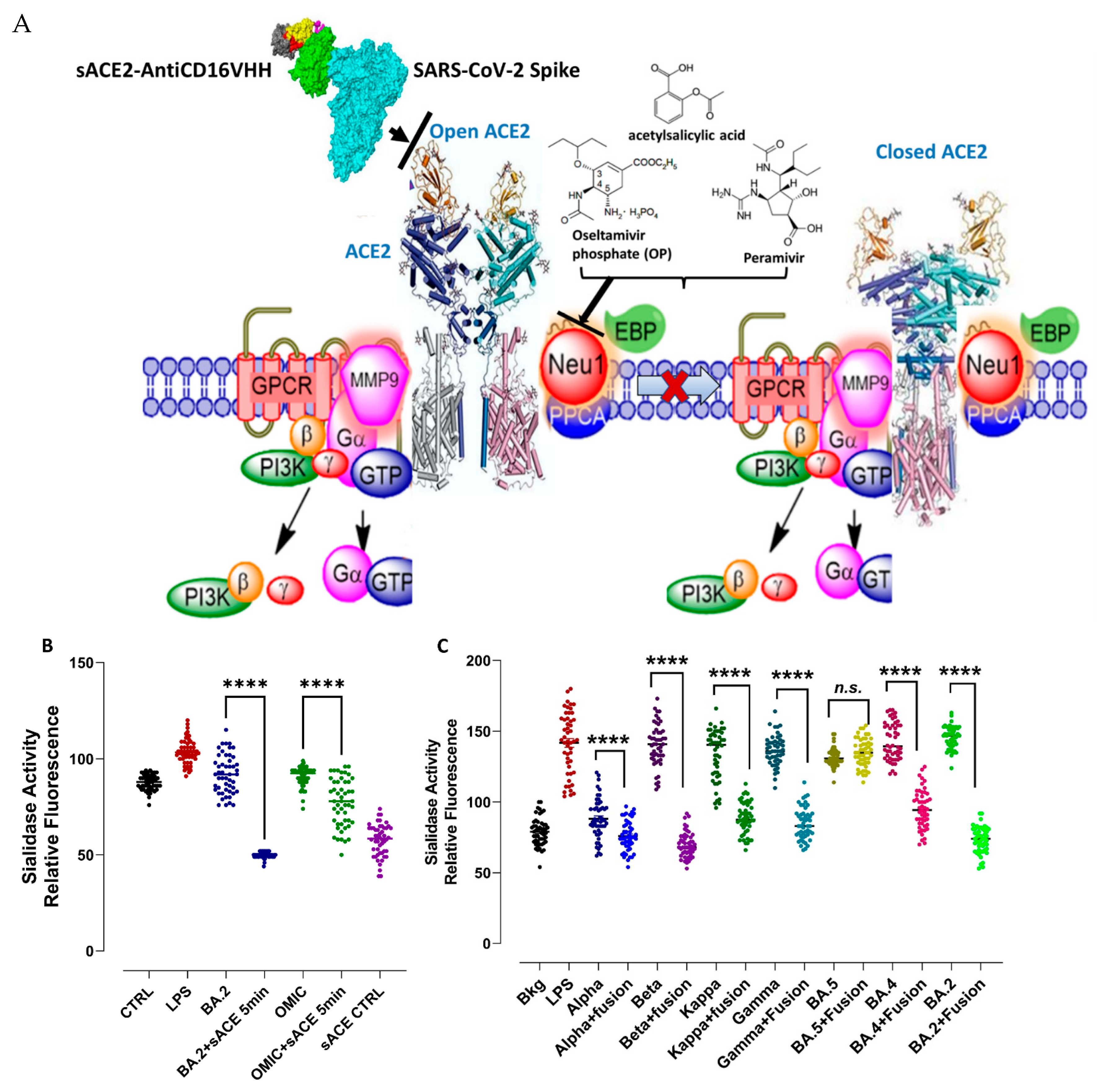 Vaccines 13 00199 g014