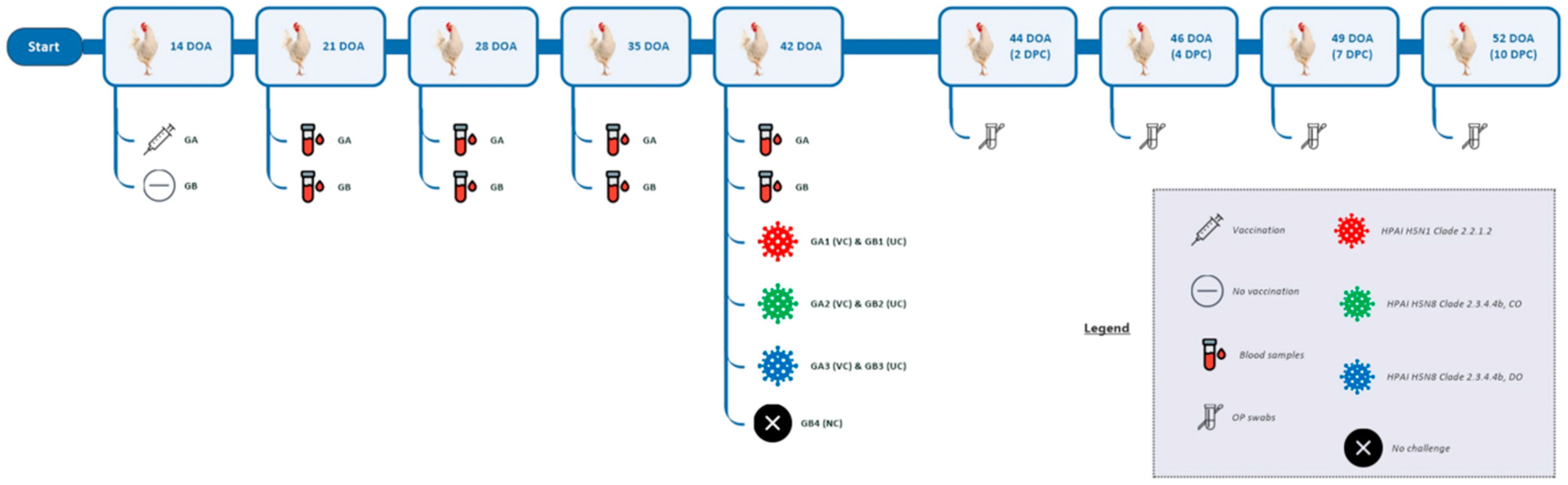 Vaccines 13 00204 g001