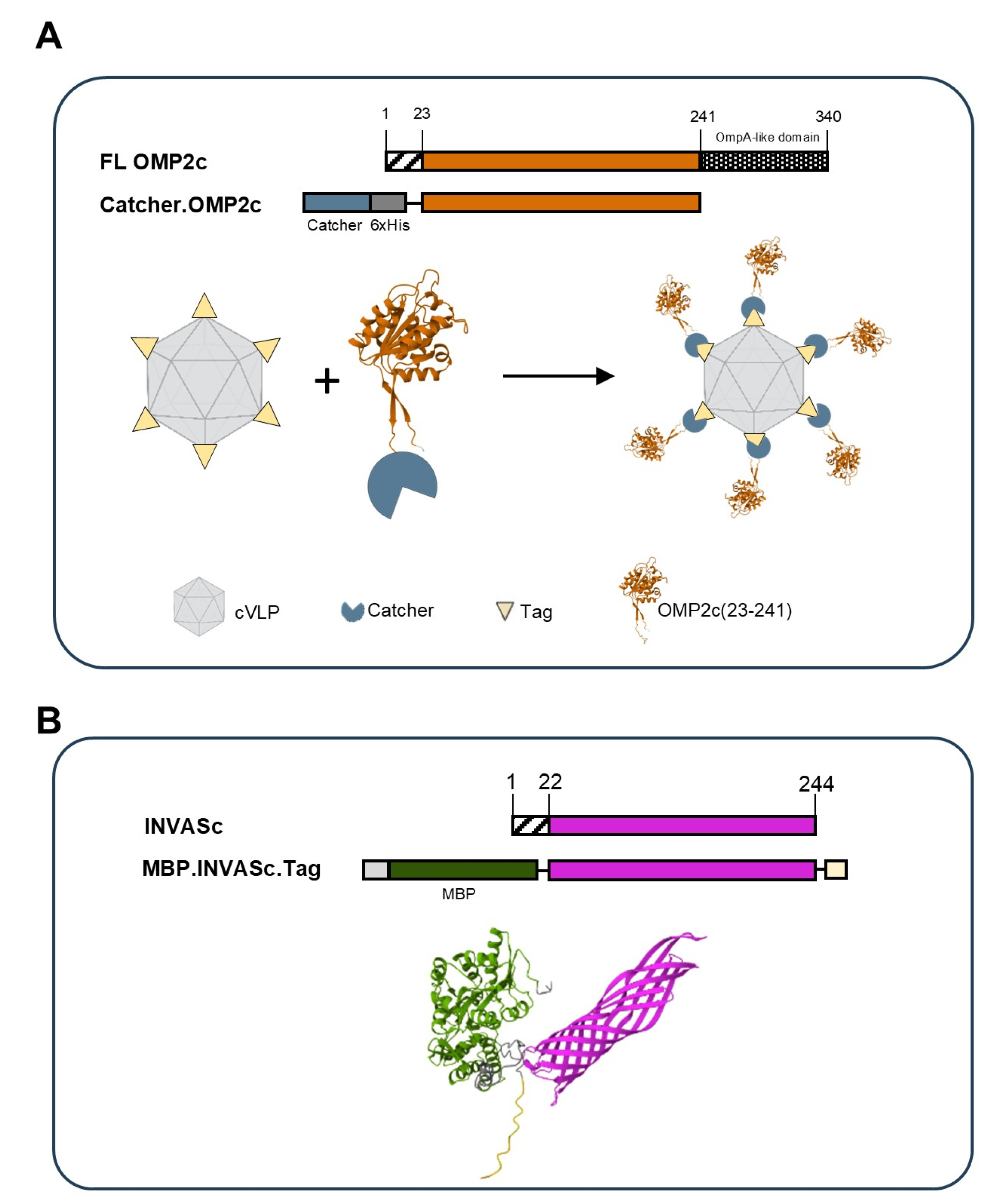 Vaccines 13 00207 g001