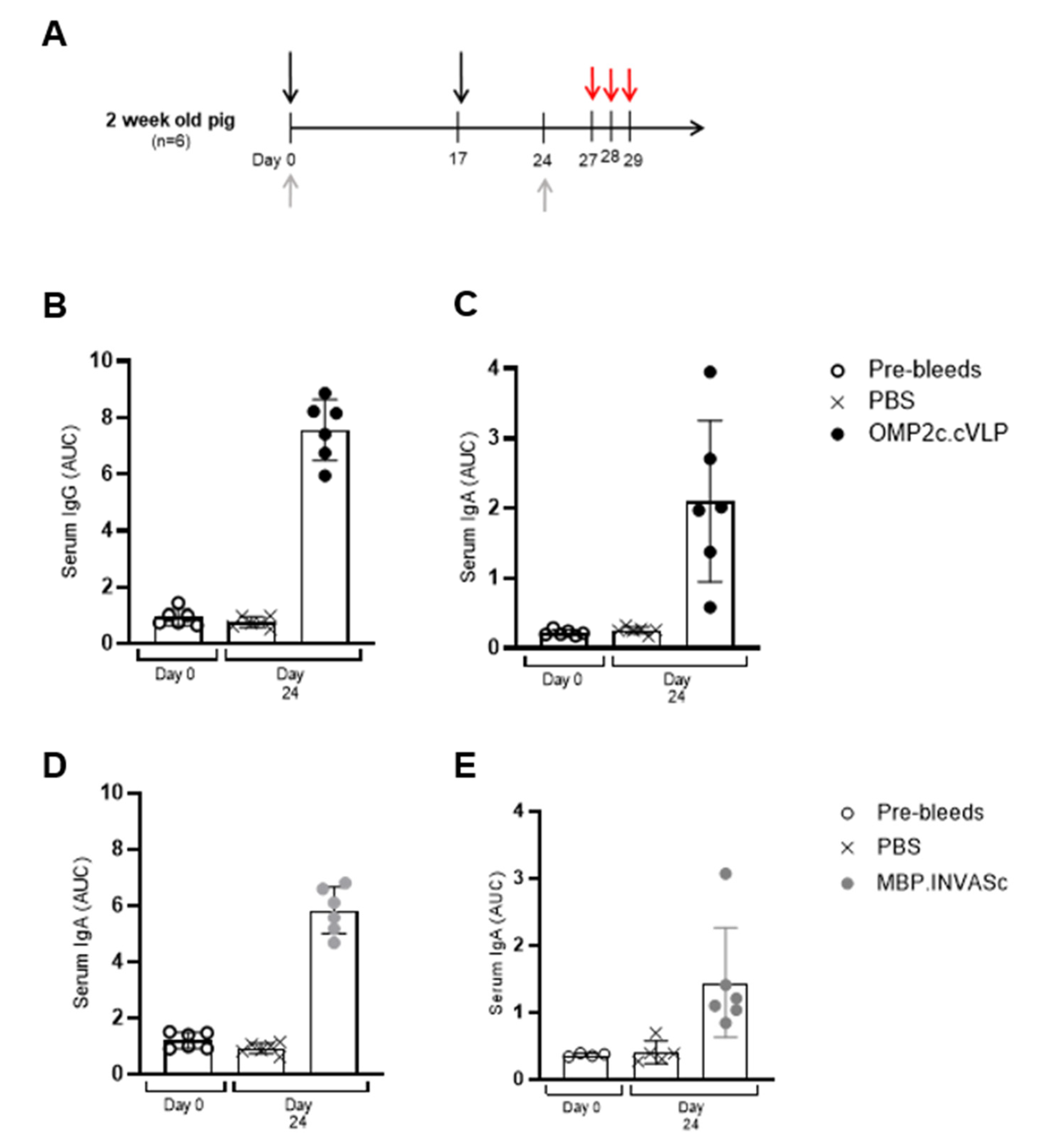 Vaccines 13 00207 g003