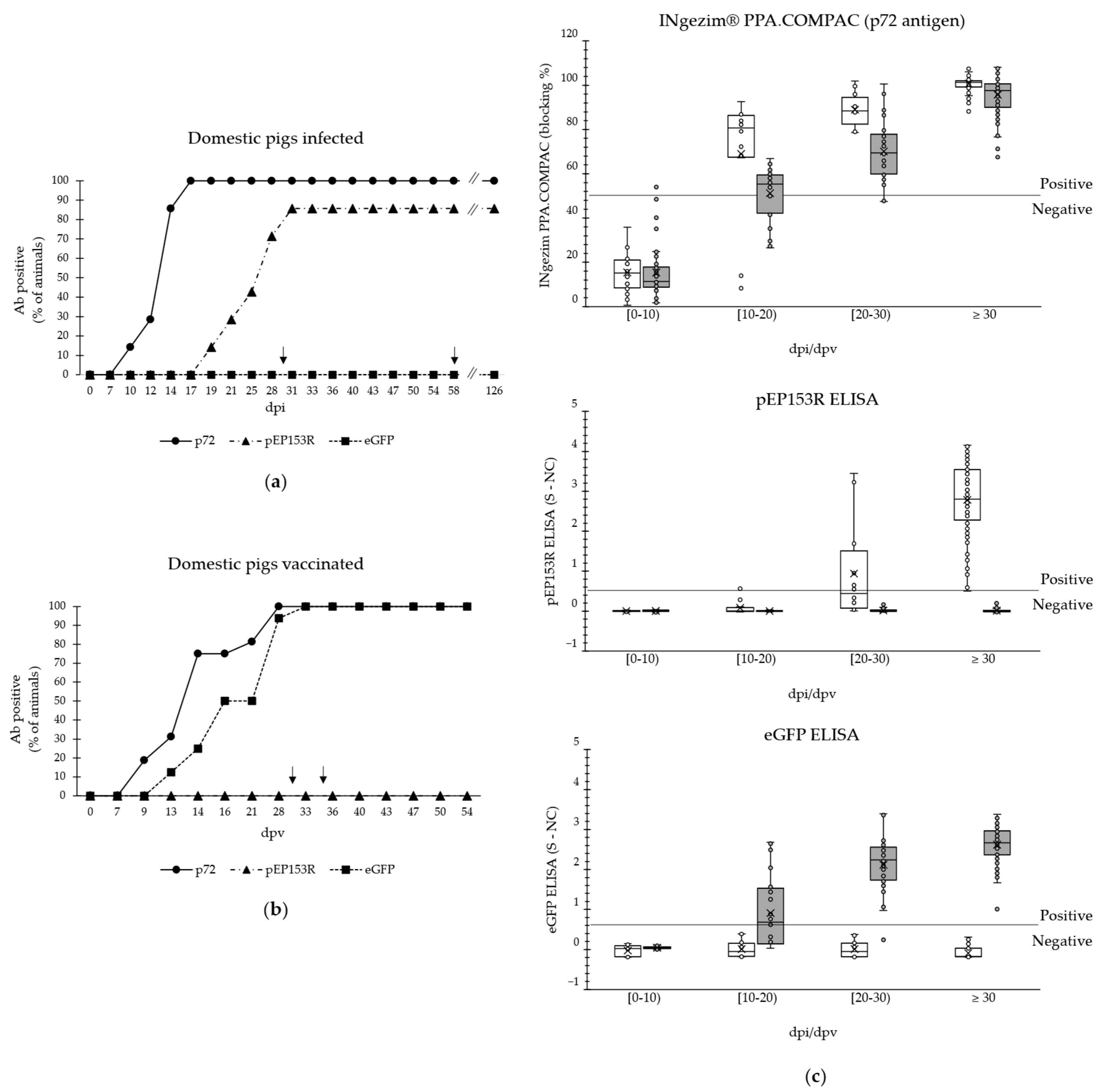 Vaccines 13 00211 g004