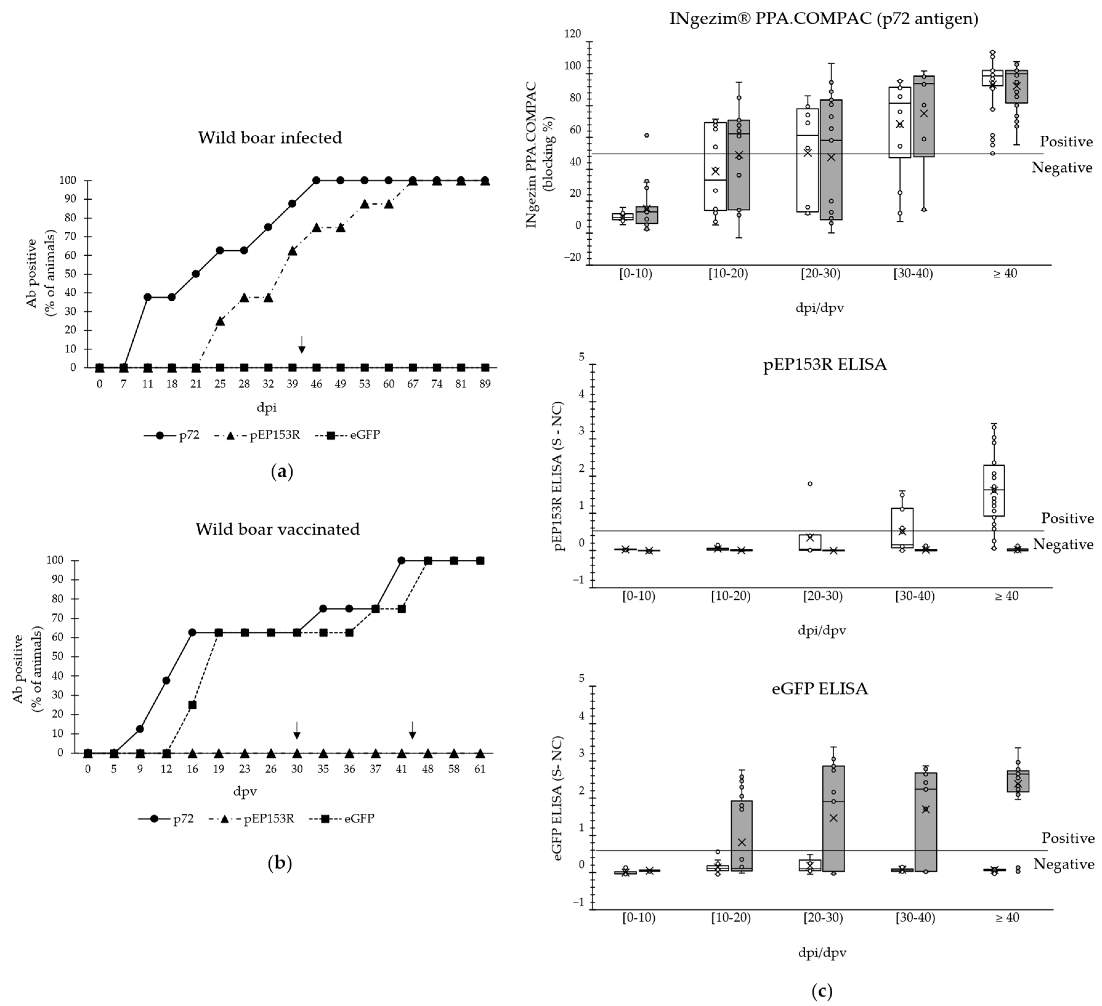 Vaccines 13 00211 g005