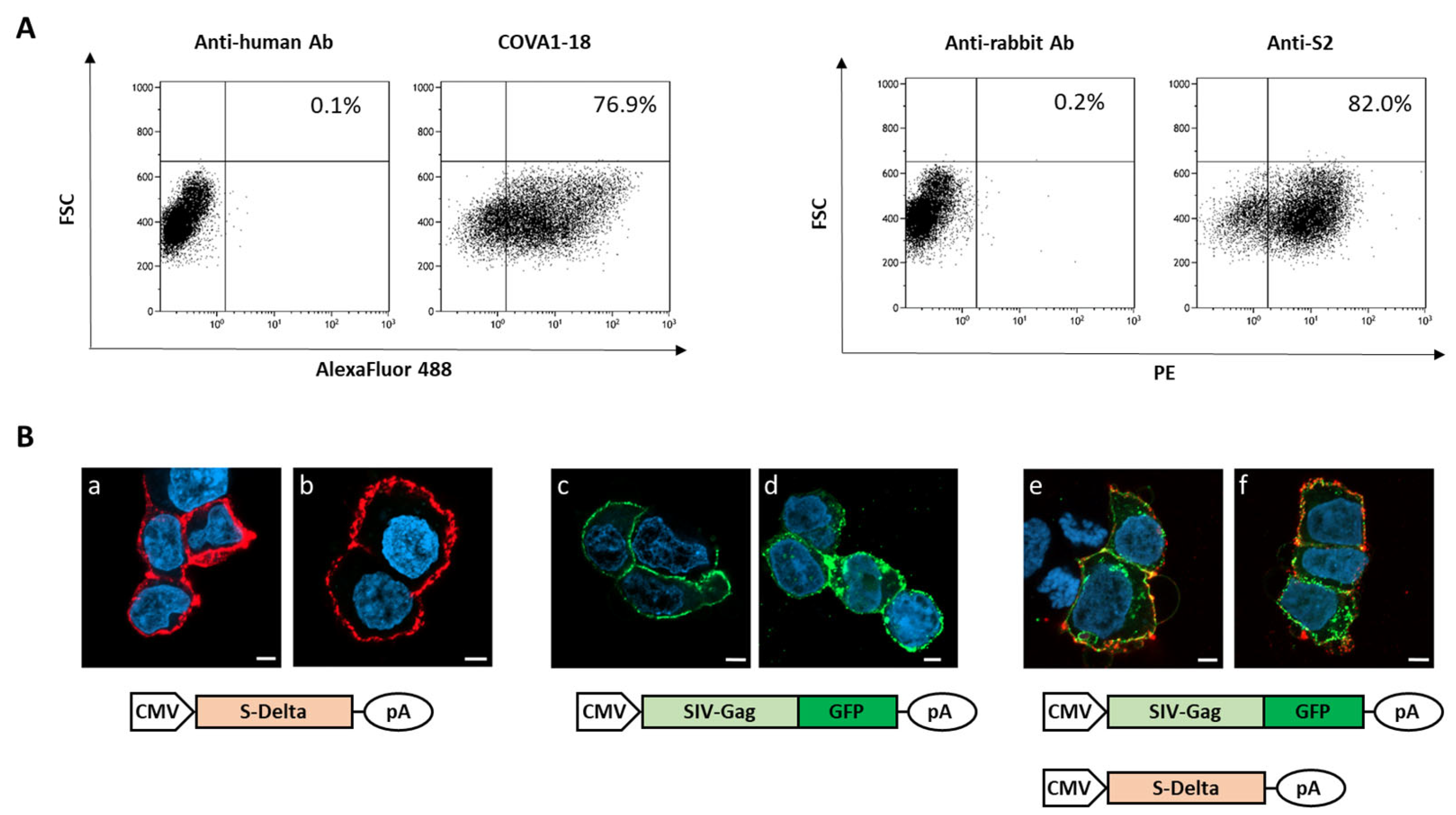 Vaccines 13 00216 g001 Vaccines 13 00216 g001