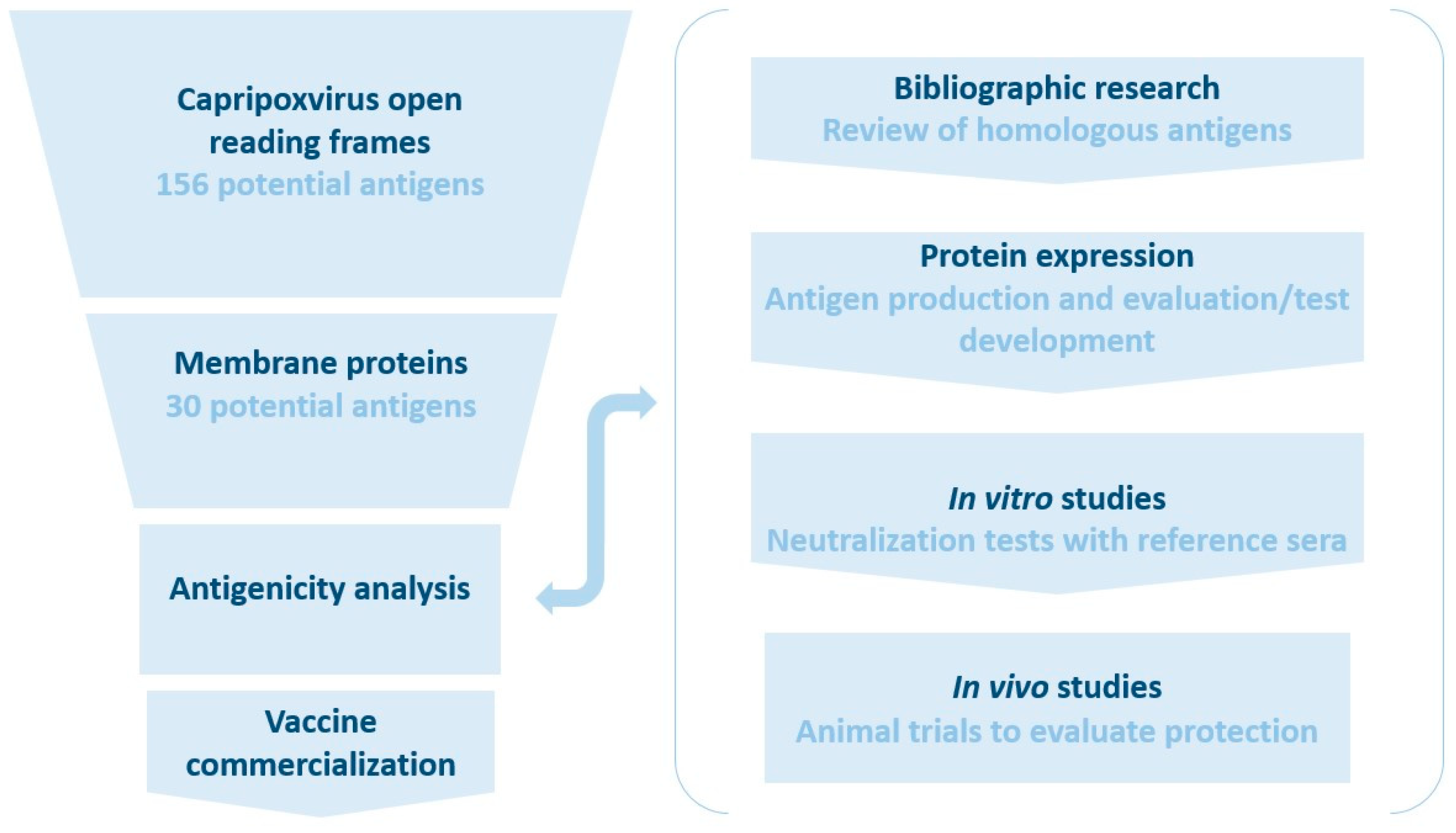 Vaccines 13 00219 g001