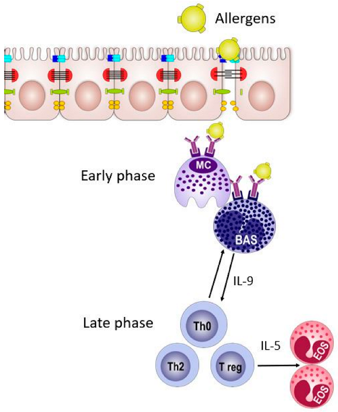 Vaccines 13 00221 g001