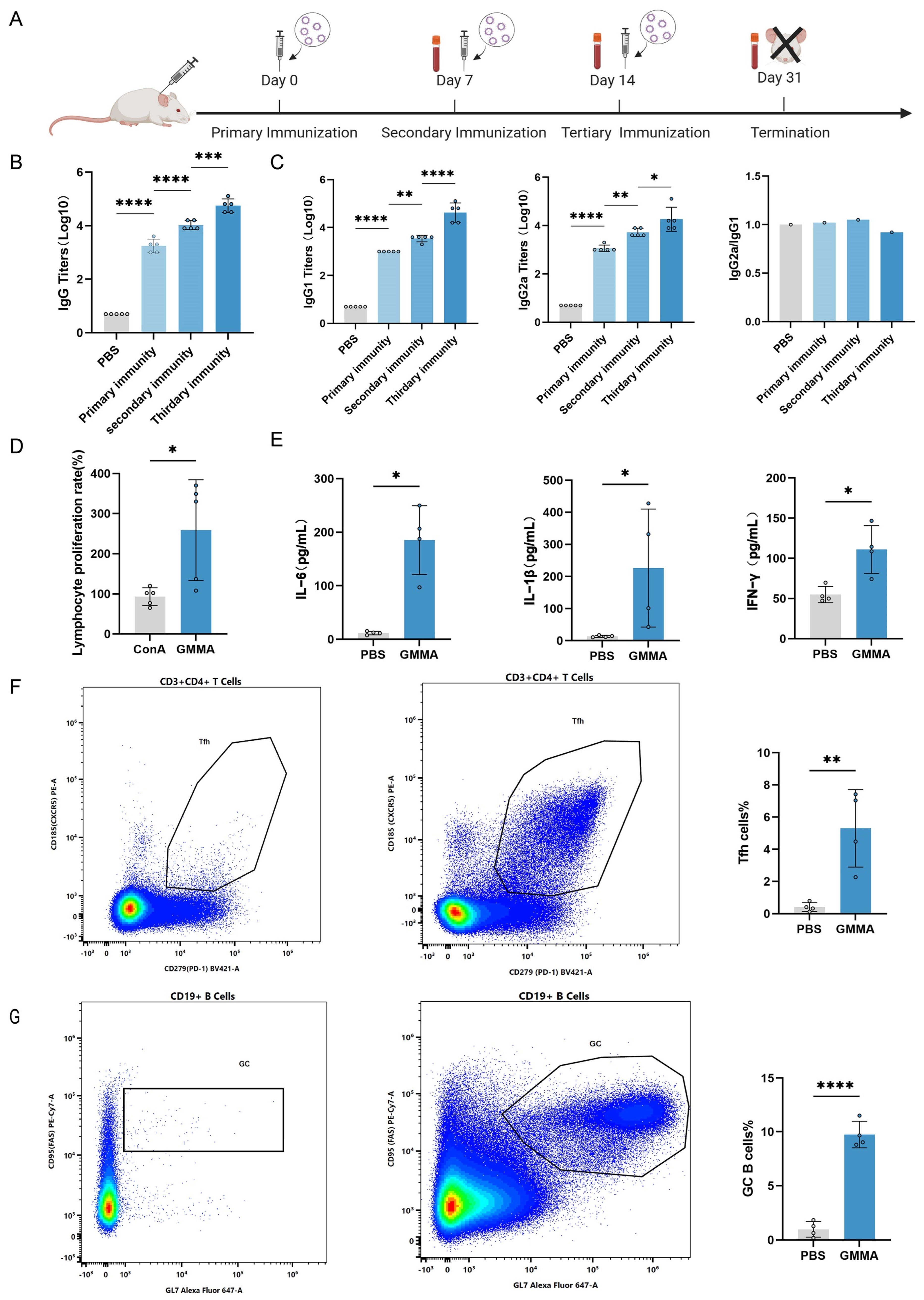 Vaccines 13 00226 g004
