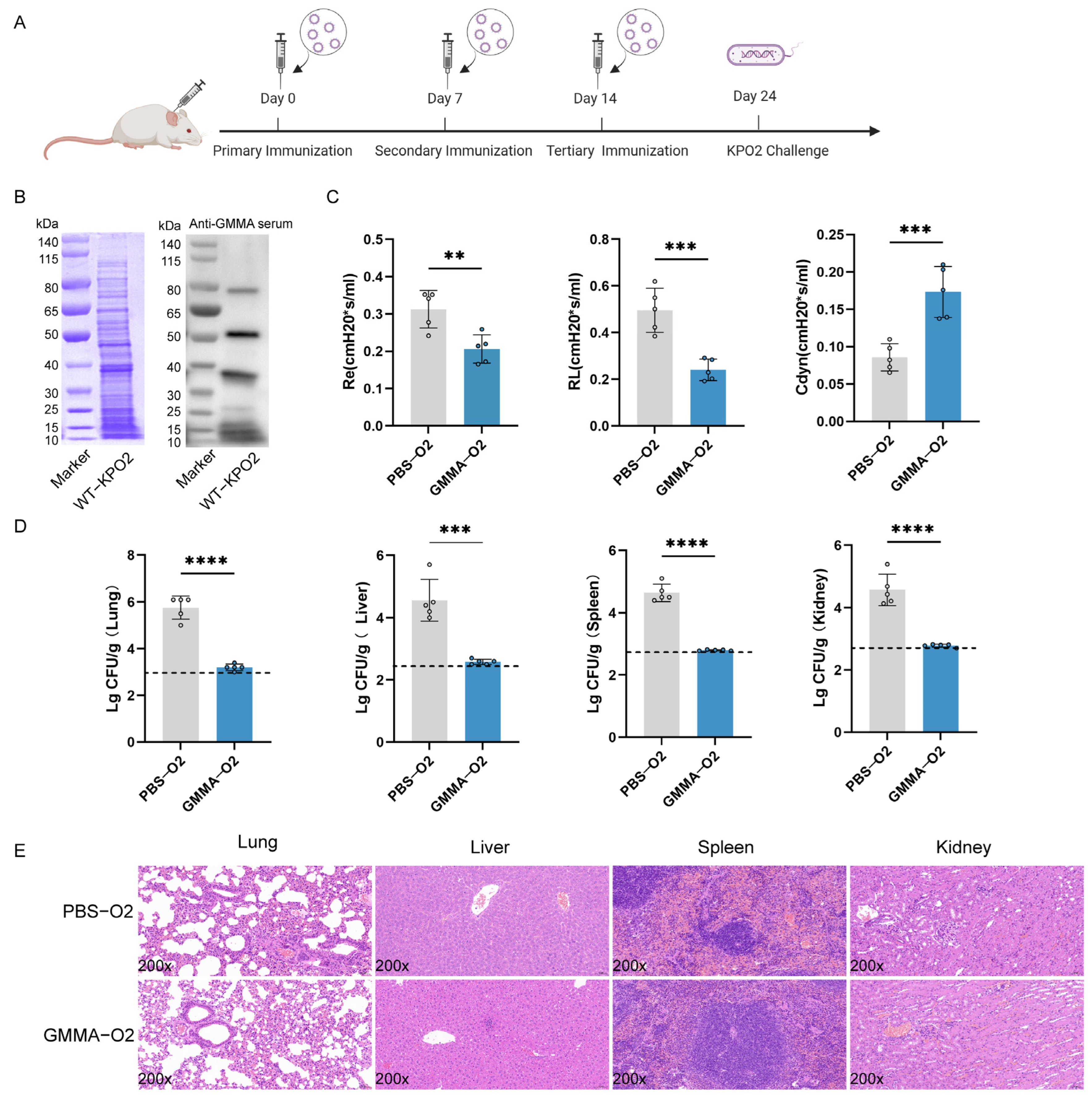 Vaccines 13 00226 g006