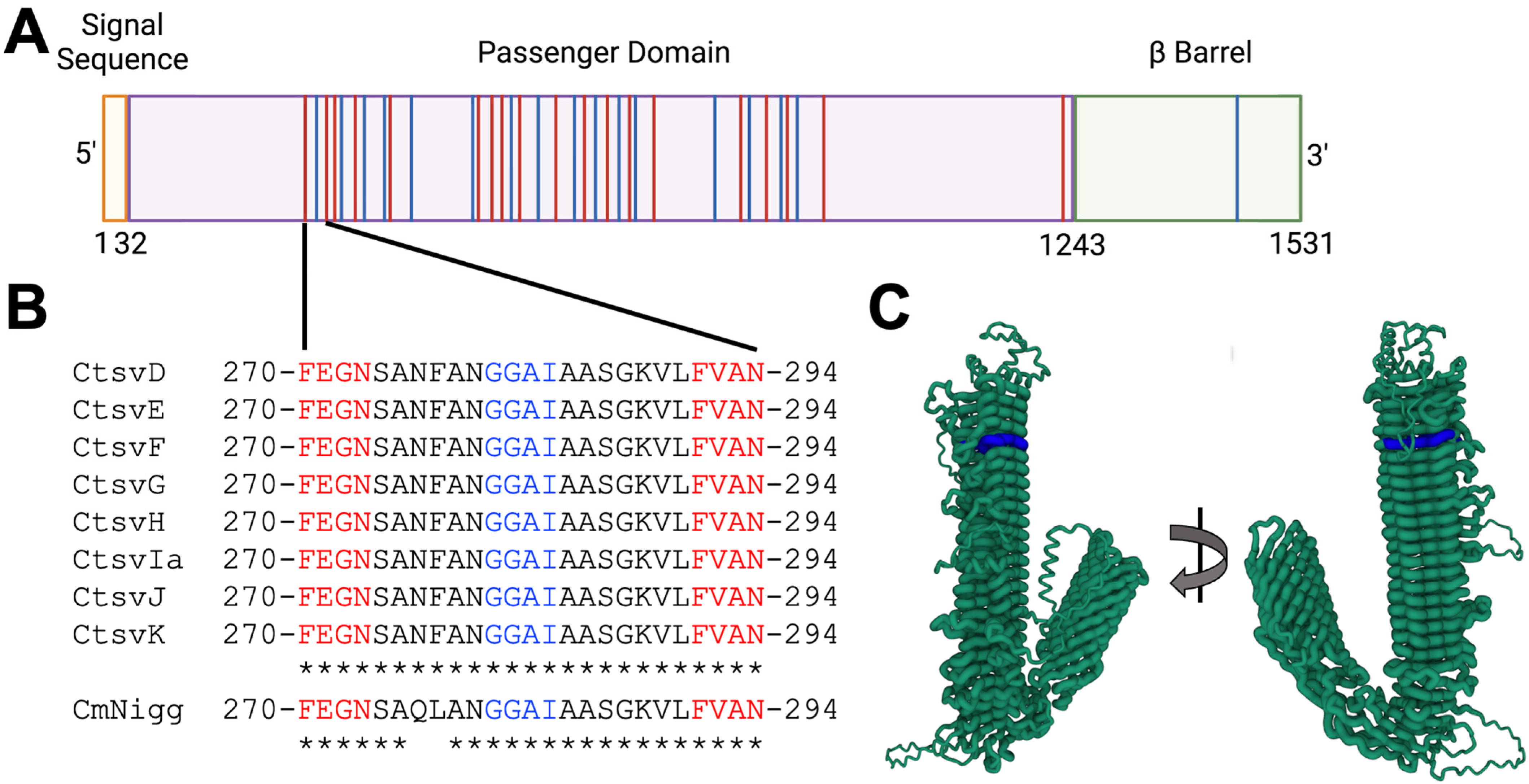 Vaccines 13 00234 g001 Vaccines 13 00234 g001
