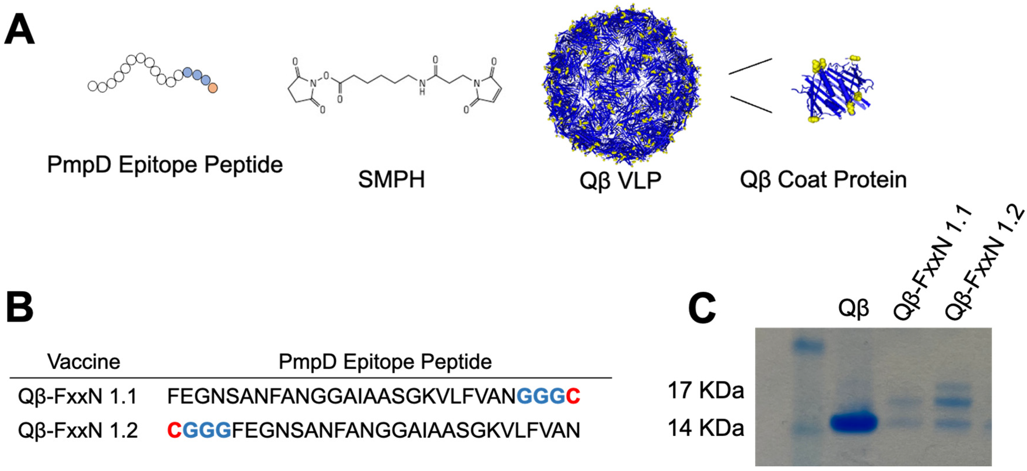 Vaccines 13 00234 g002 Vaccines 13 00234 g002