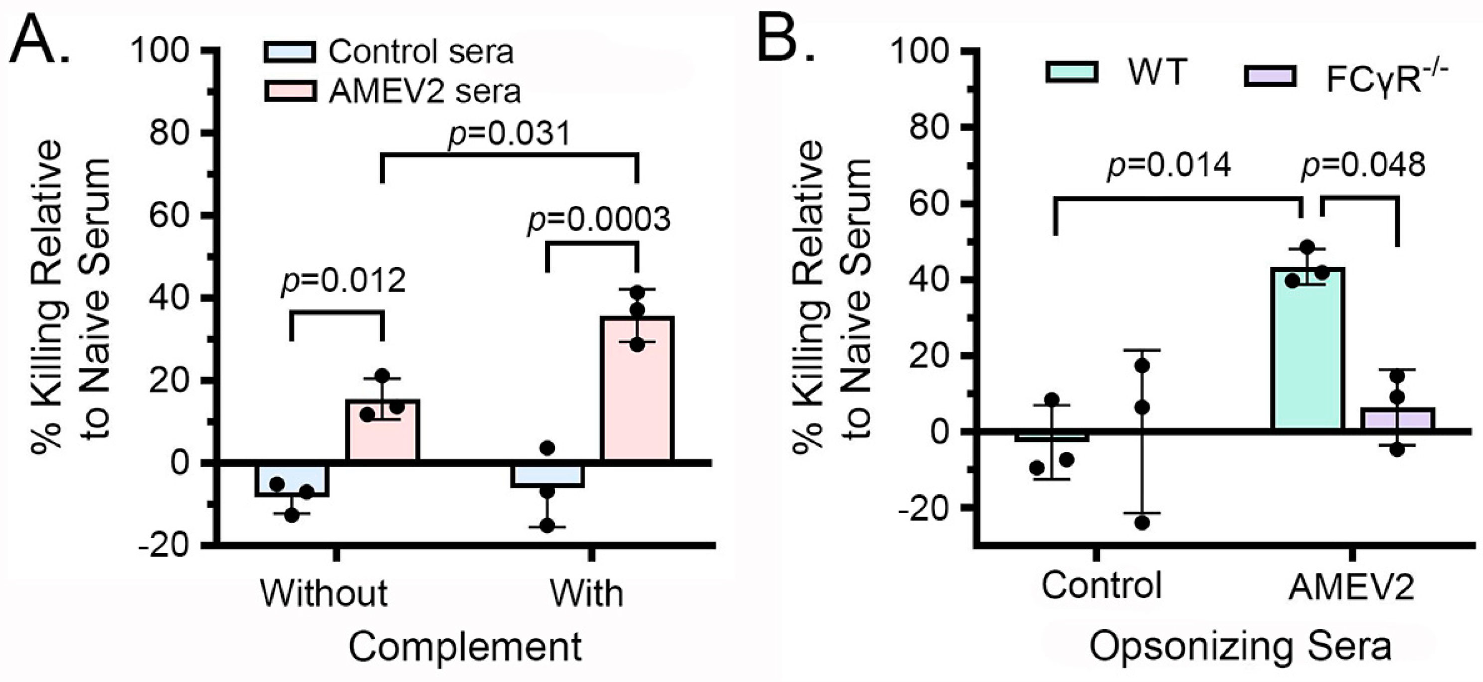 Vaccines 13 00236 g004 Vaccines 13 00236 g004