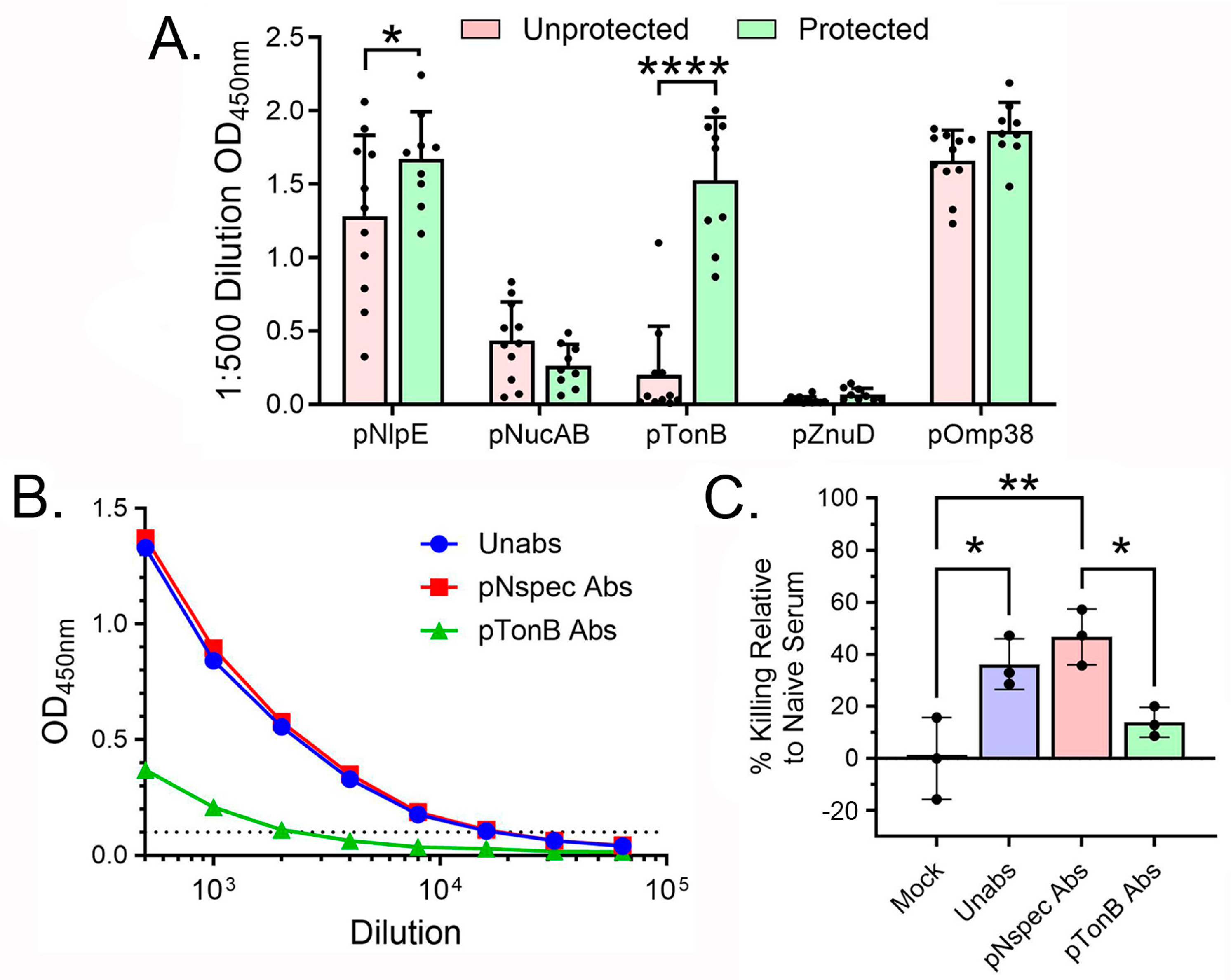 Vaccines 13 00236 g006 Vaccines 13 00236 g006