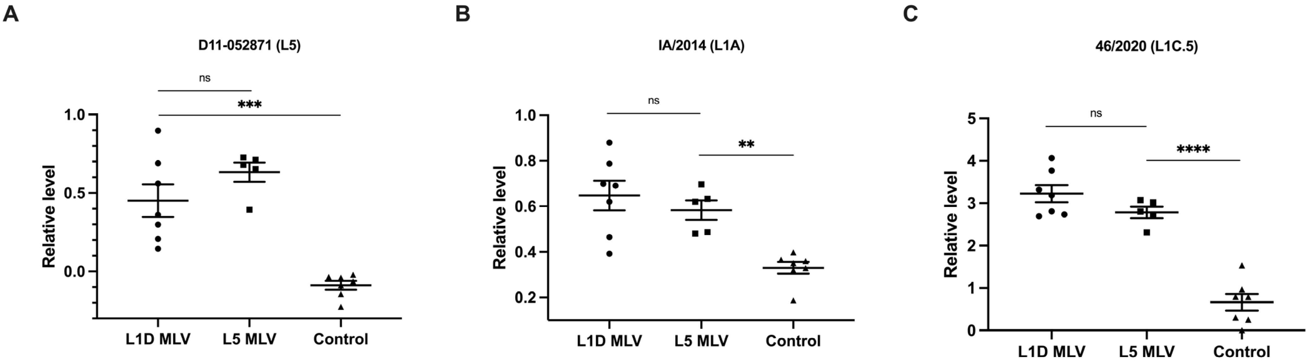 Vaccines 13 00247 g002