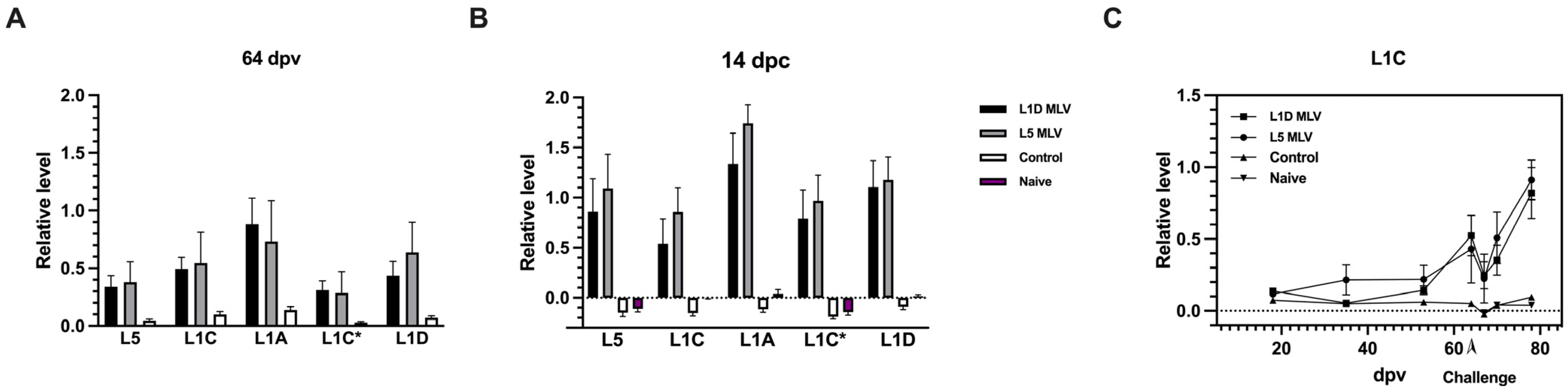Vaccines 13 00247 g005
