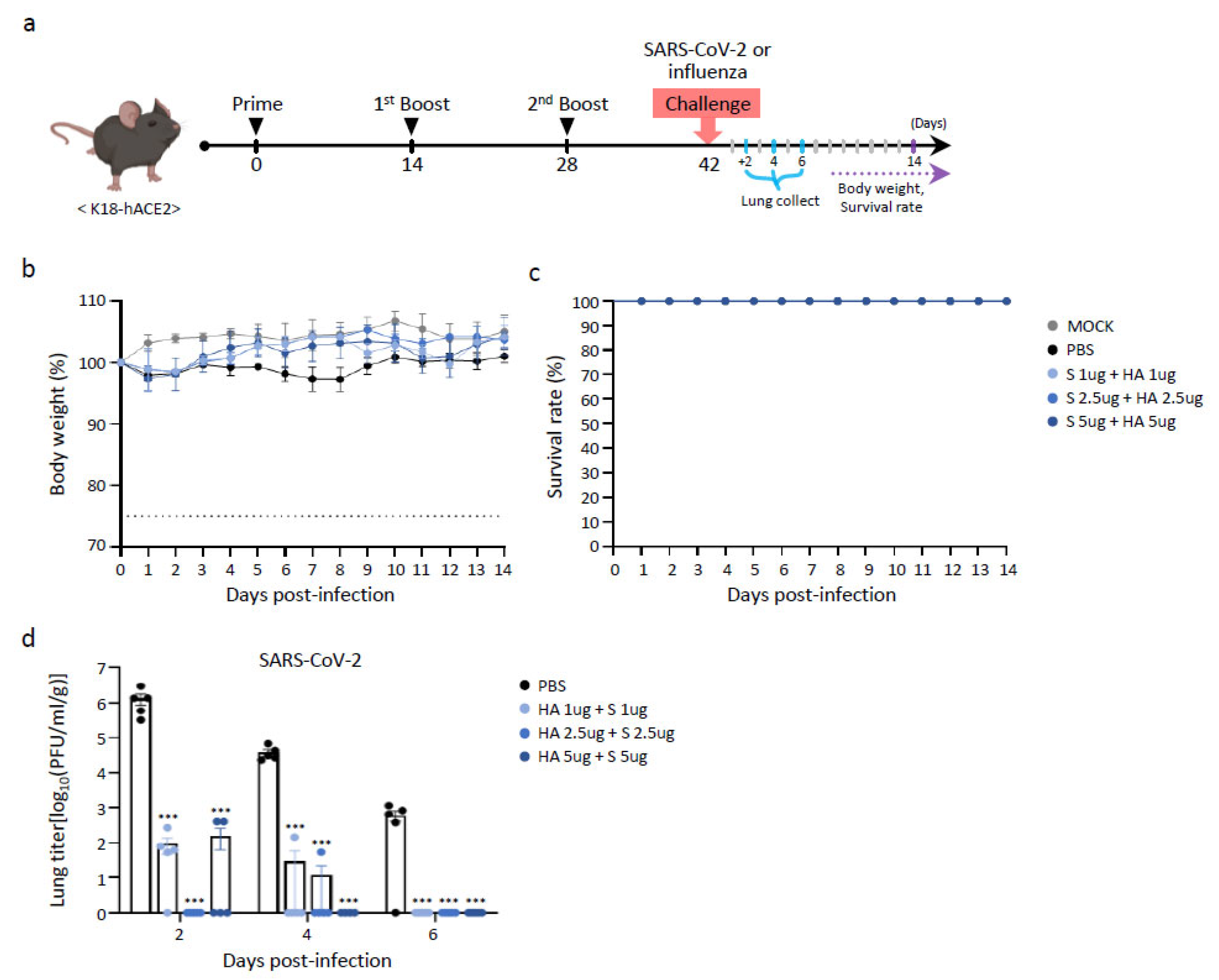 Vaccines 13 00254 g005a