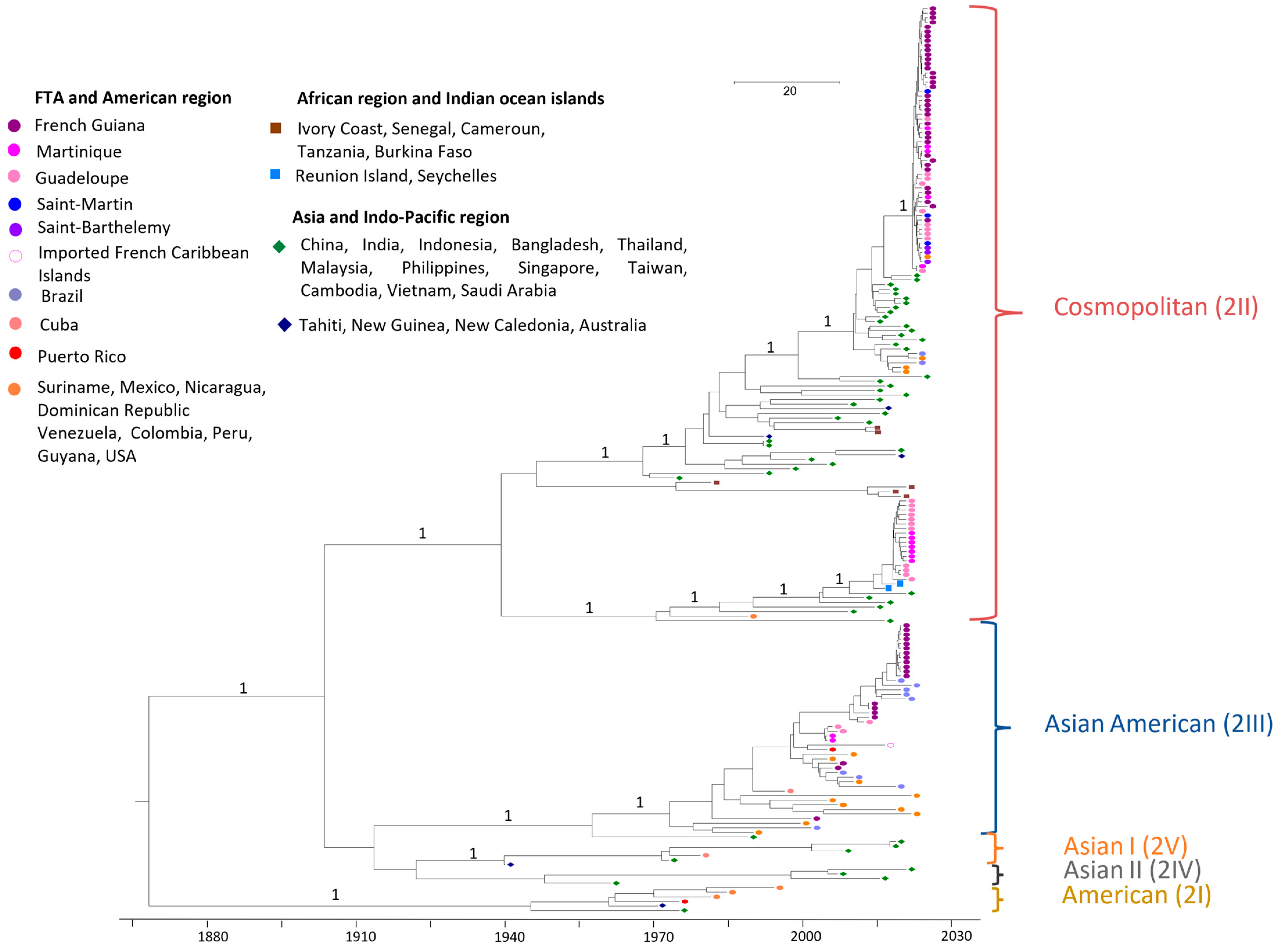 Vaccines 13 00264 g001