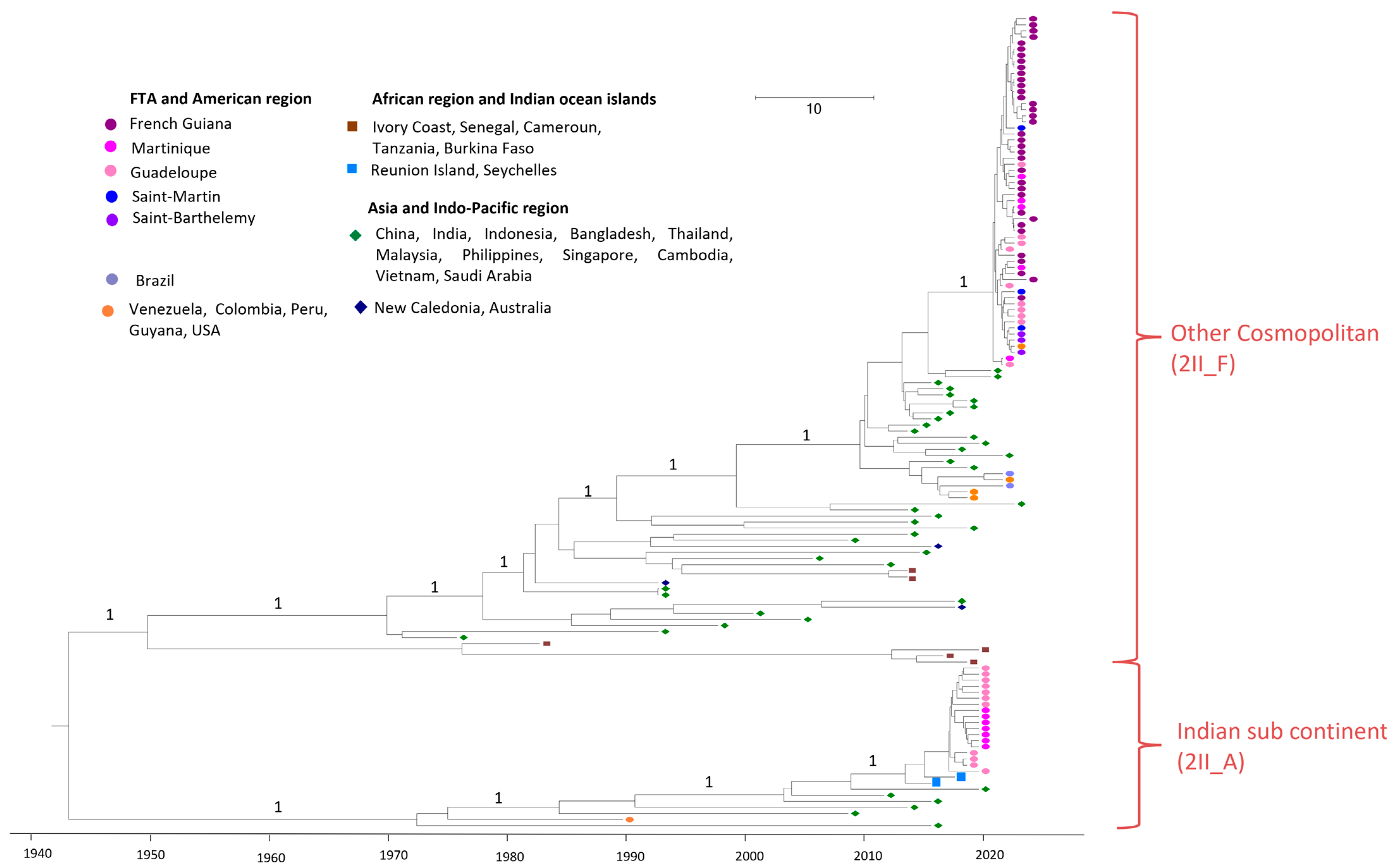 Vaccines 13 00264 g003