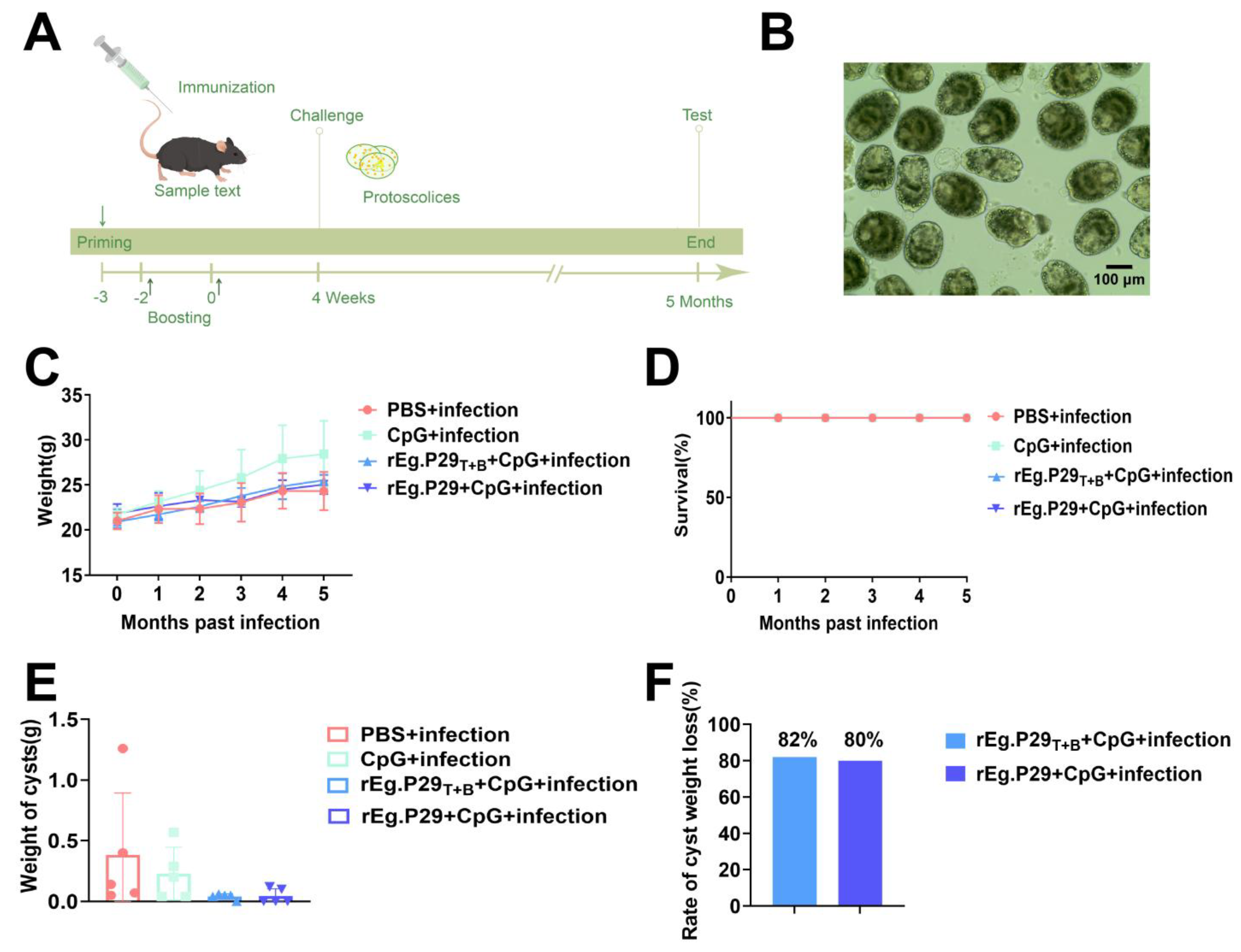 Vaccines 13 00266 g001