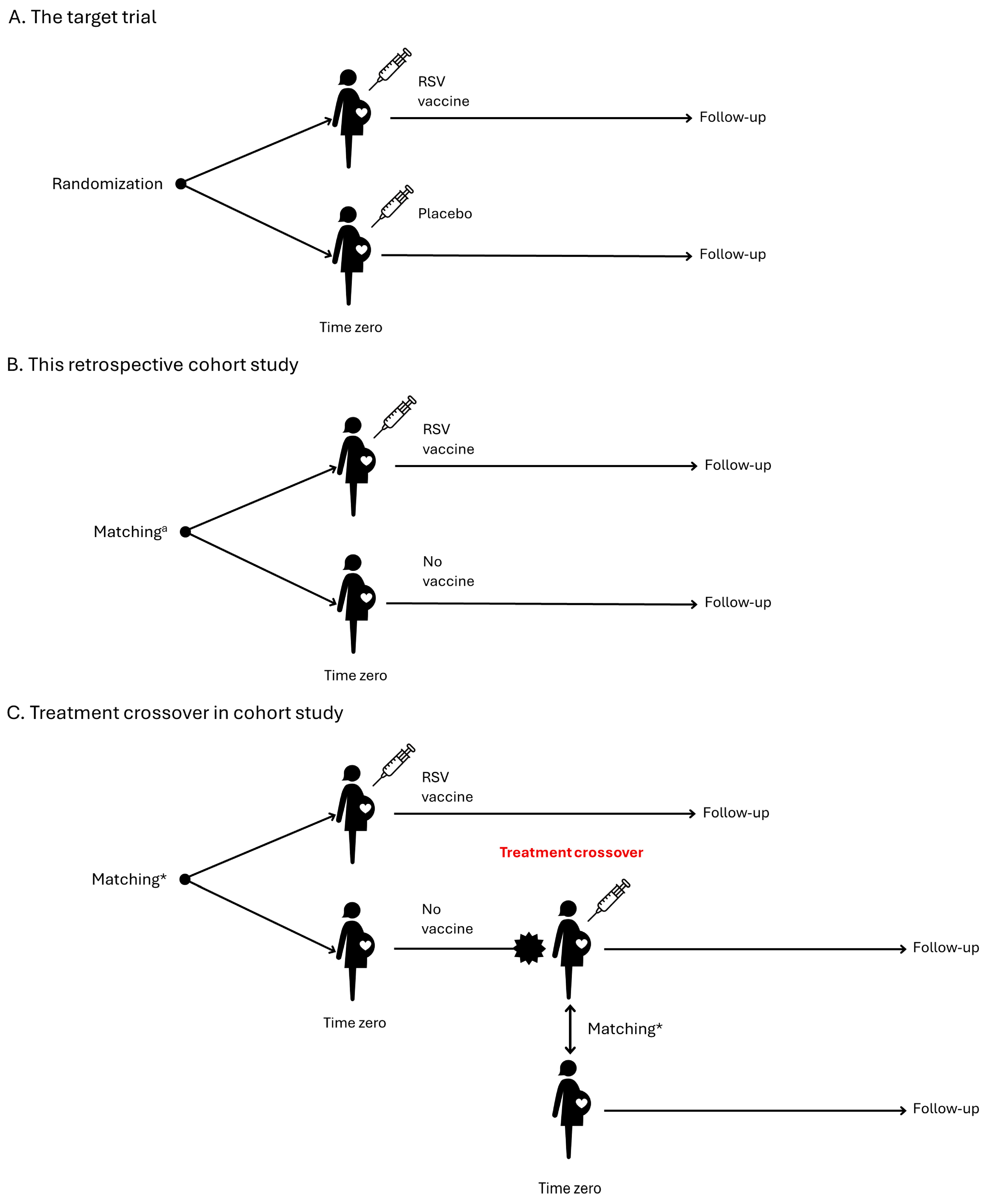 Vaccines 13 00272 g001
