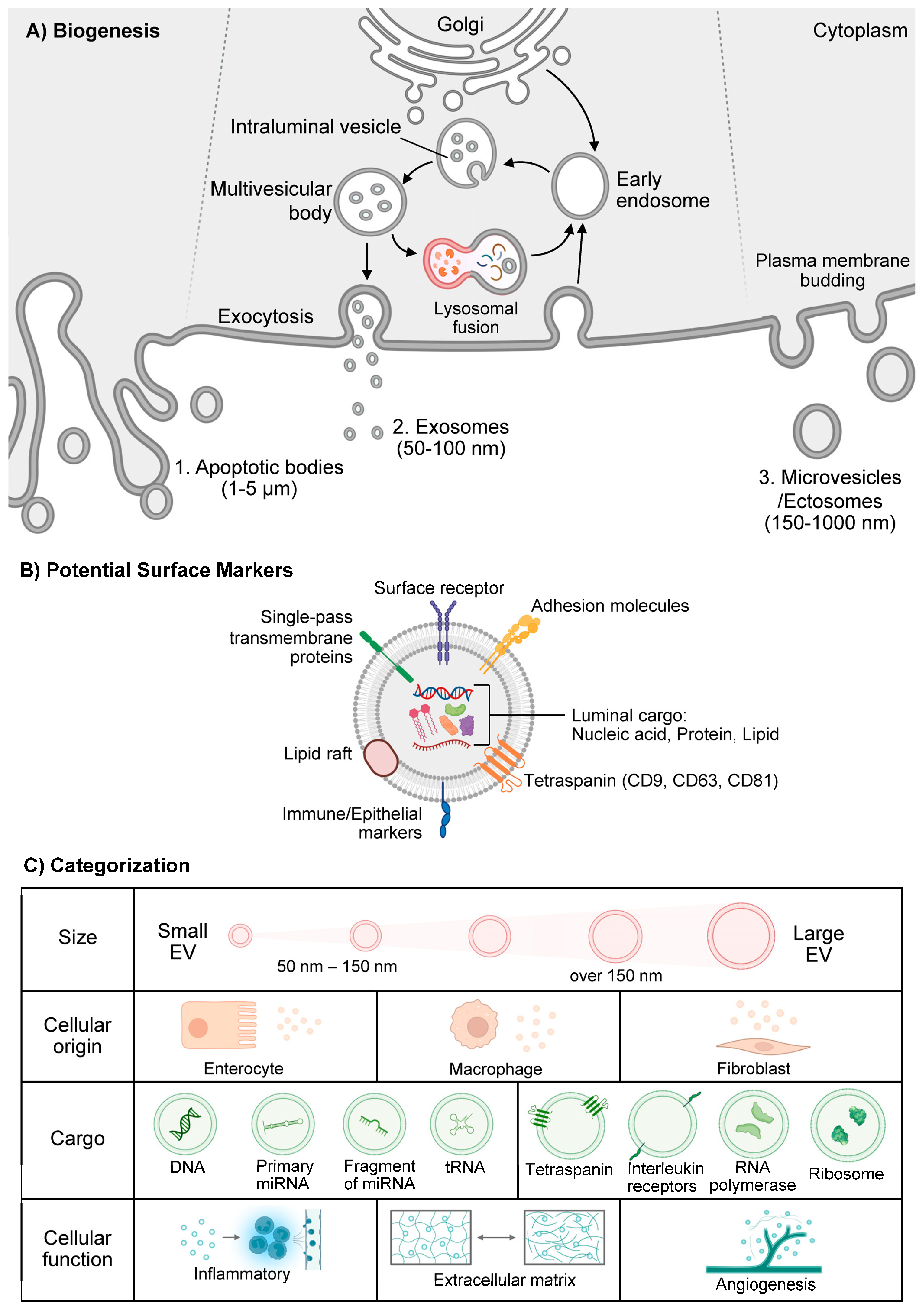 Vaccines 13 00285 g001