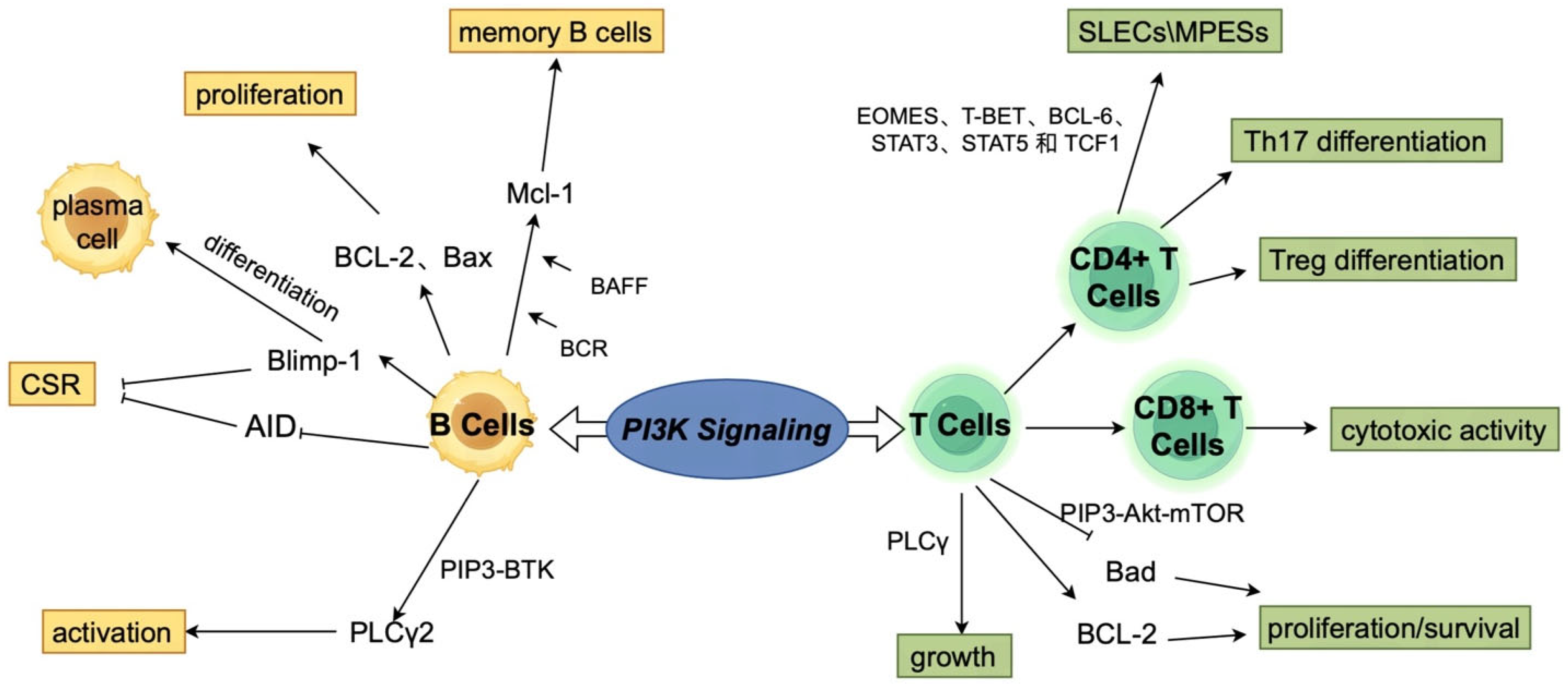 Vaccines 13 00292 g002