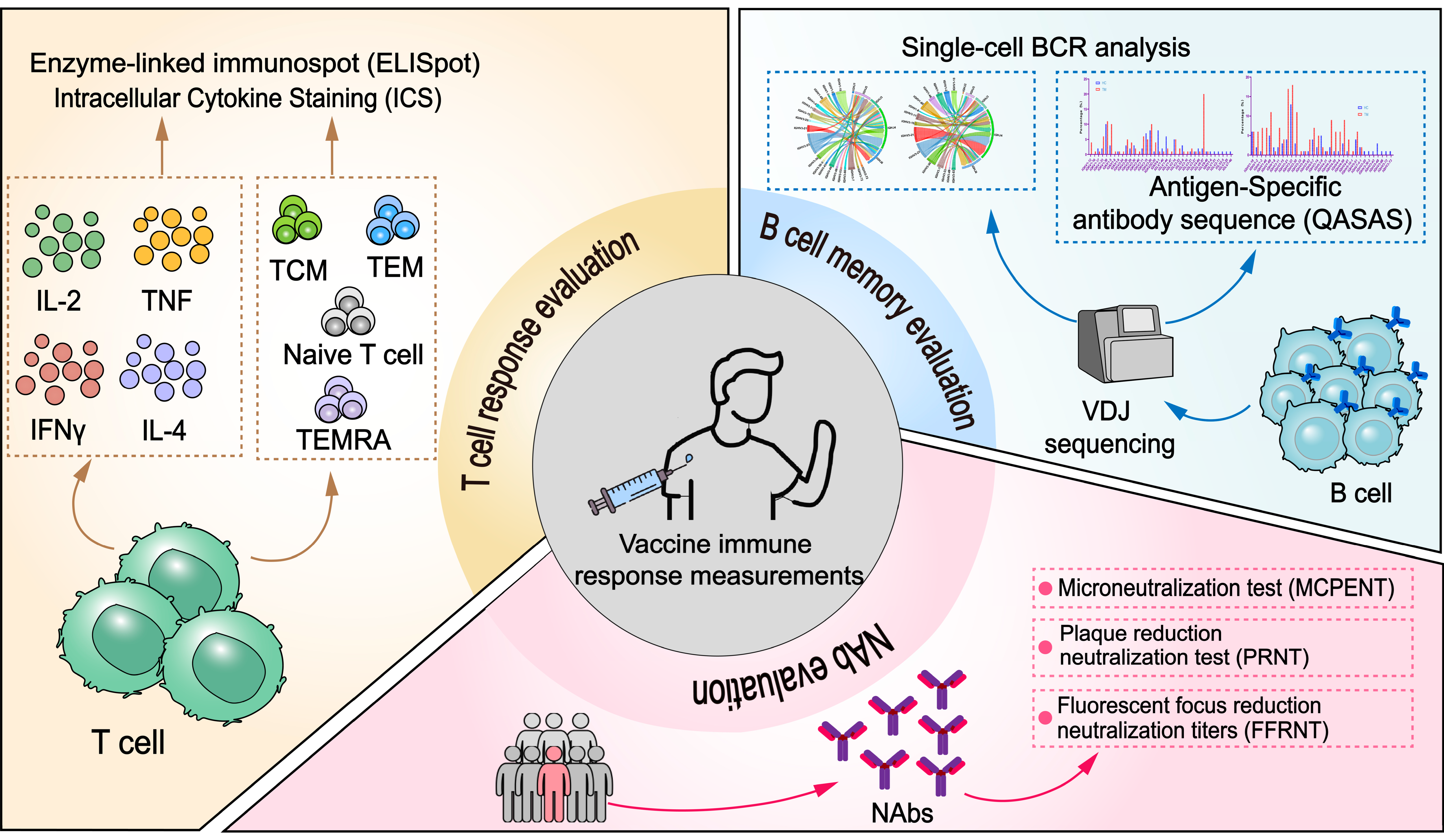 Vaccines 13 00304 g004