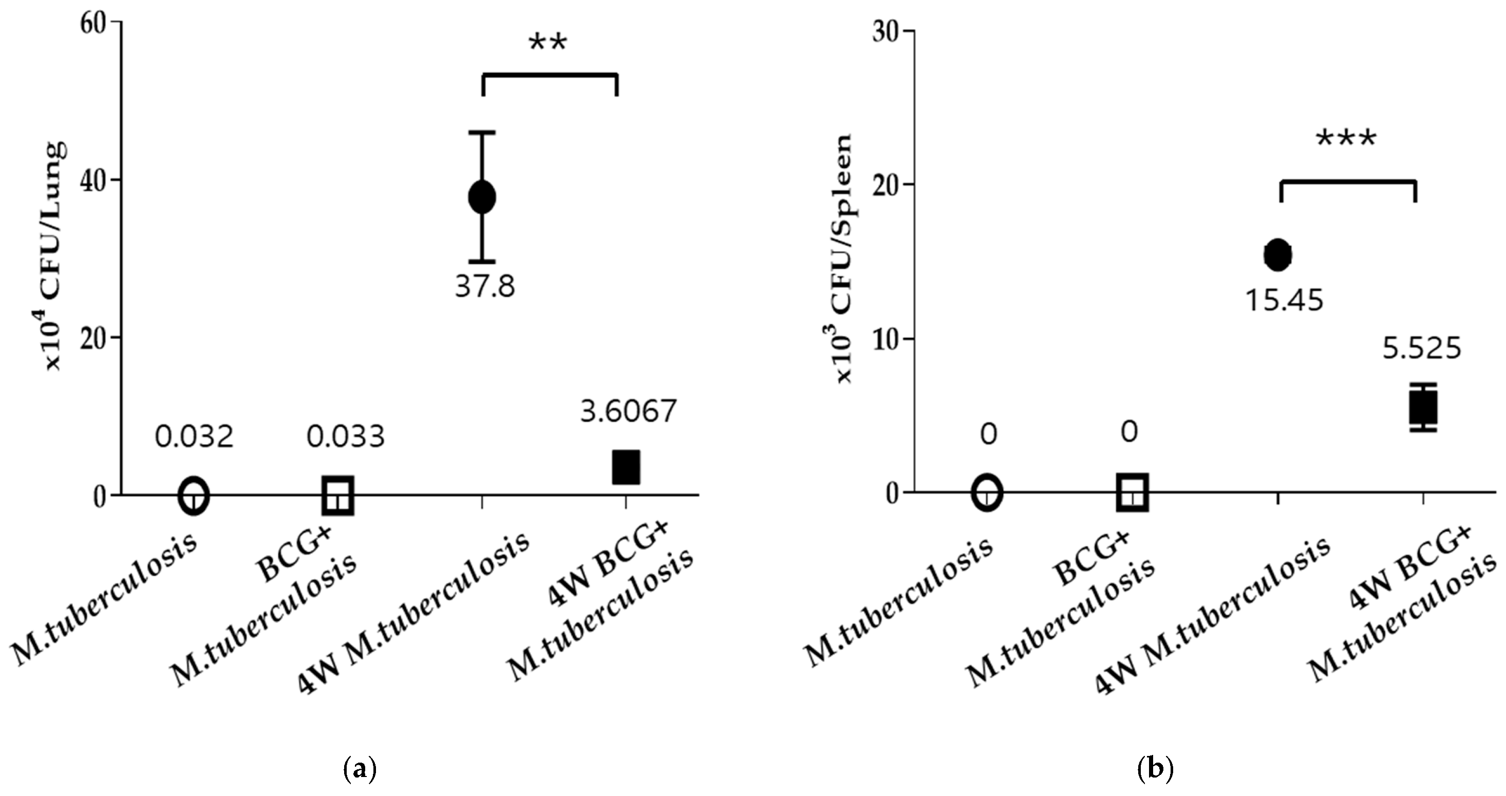 Vaccines 13 00305 g001