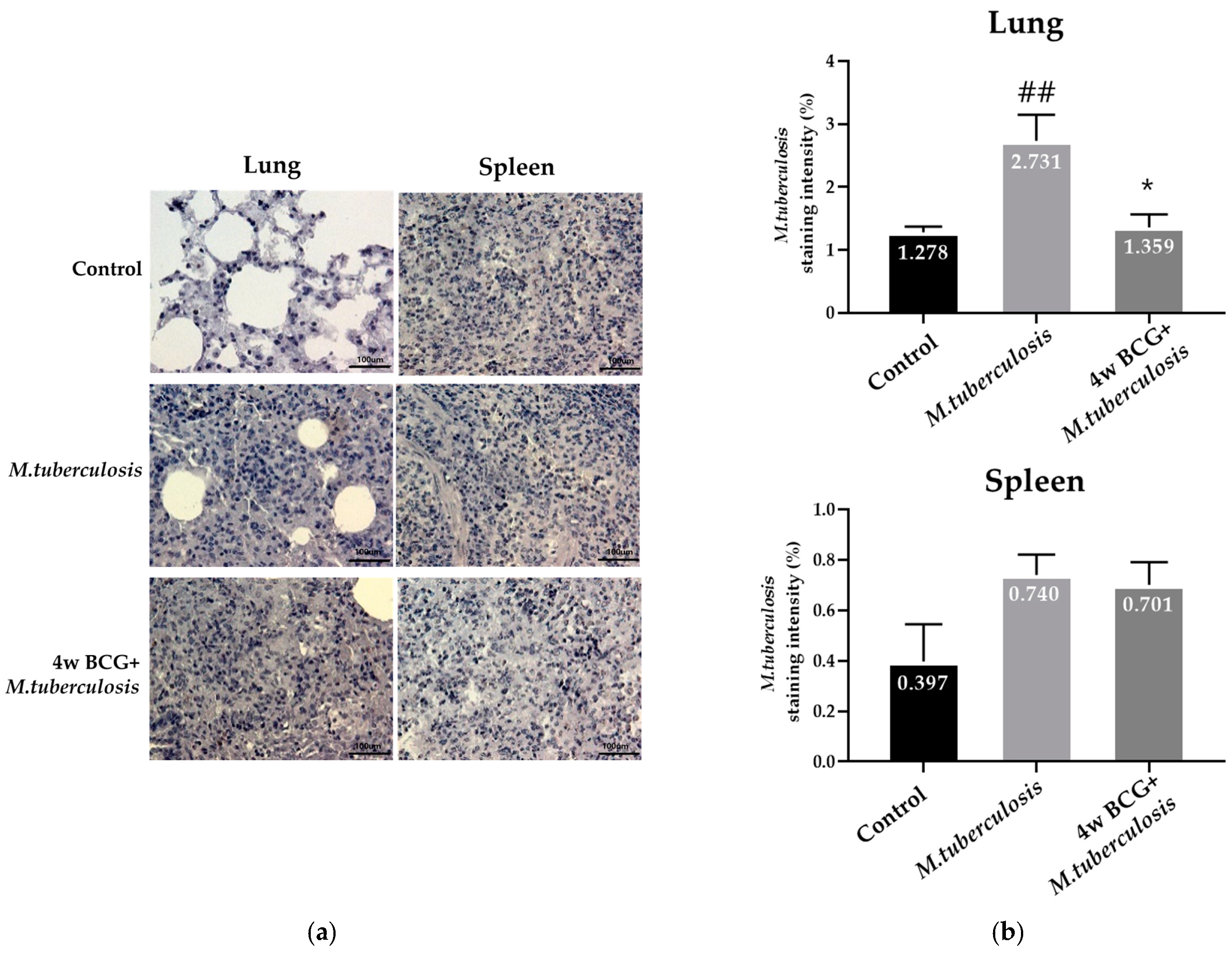 Vaccines 13 00305 g003