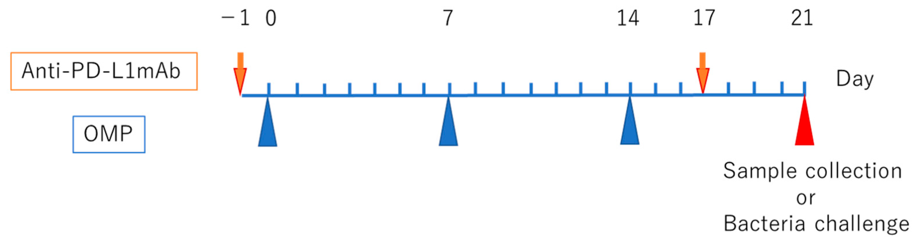 Vaccines 13 00313 g001
