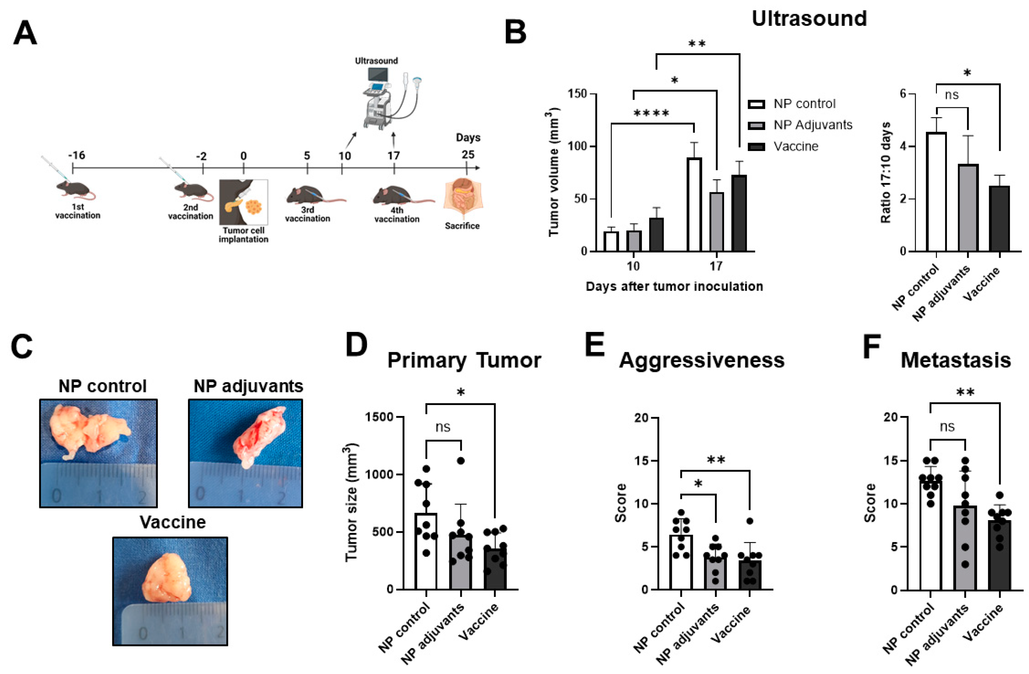 Vaccines 13 00314 g003