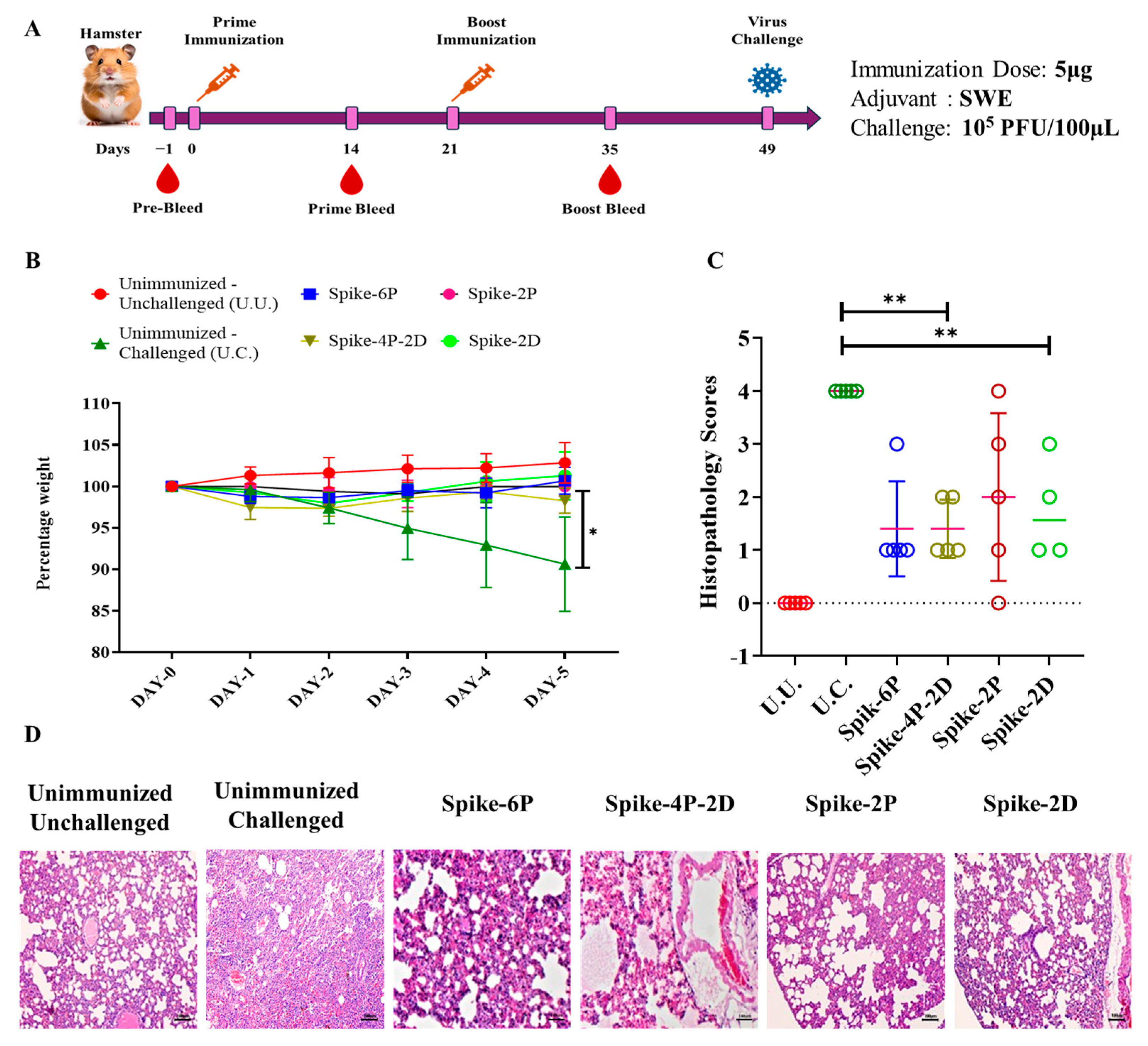 Vaccines 13 00315 g004