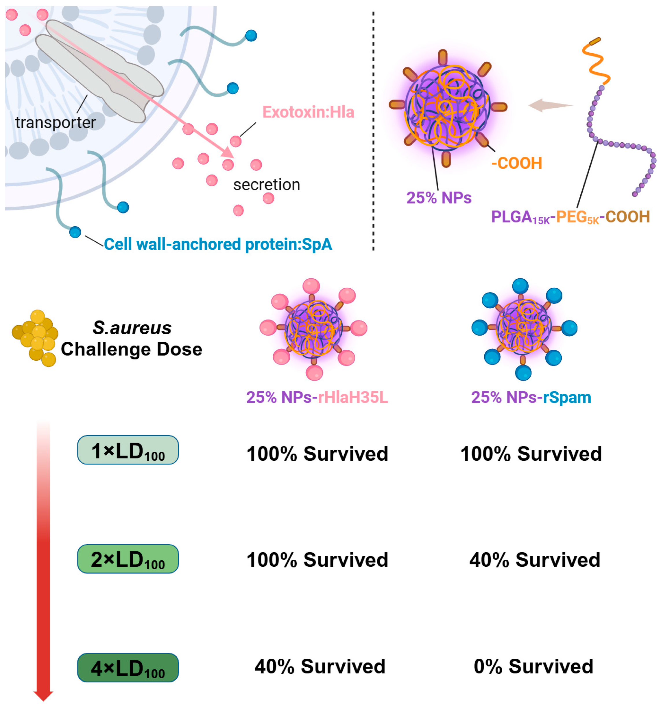 Vaccines 13 00317 g001