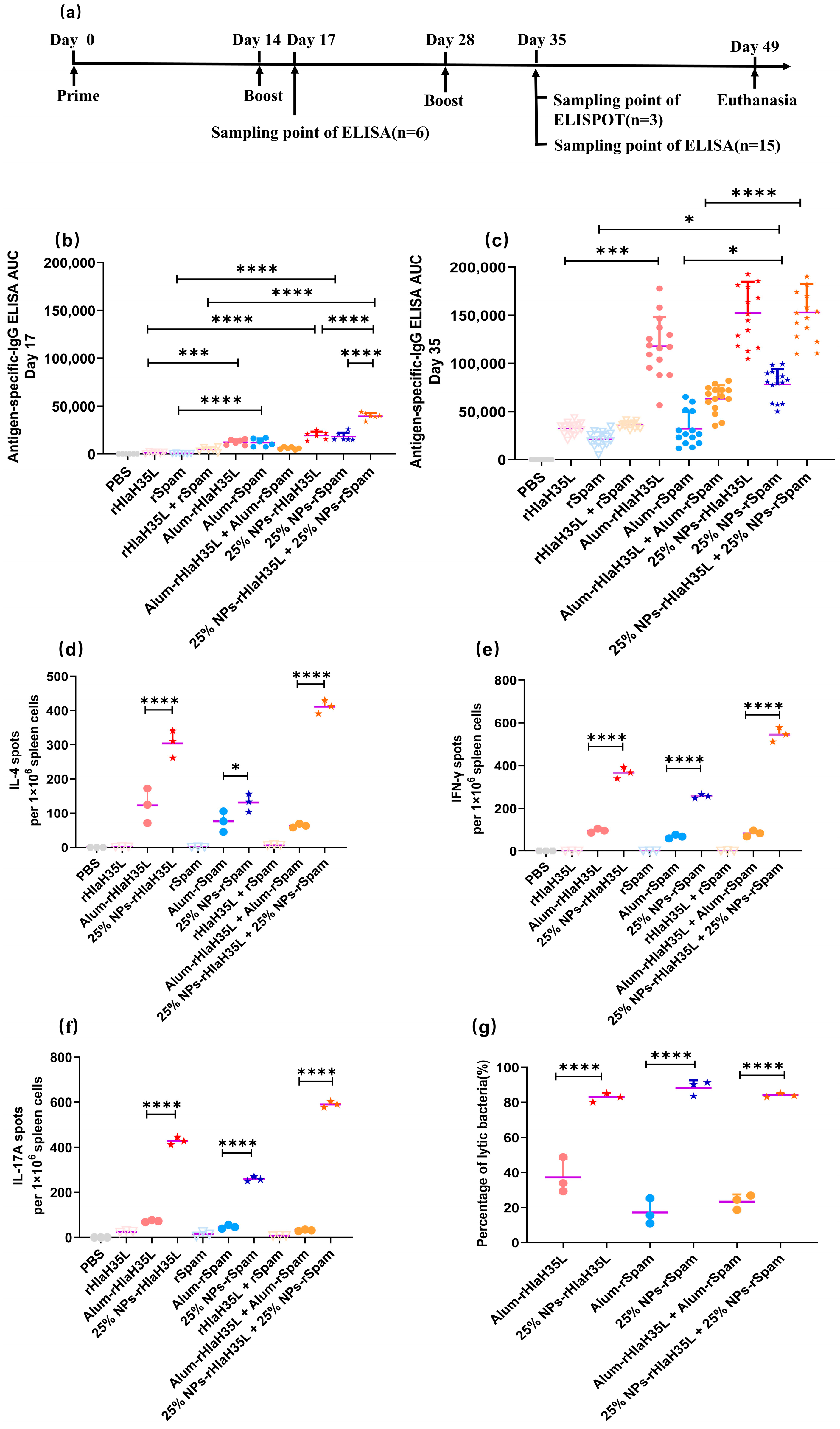 Vaccines 13 00317 g004