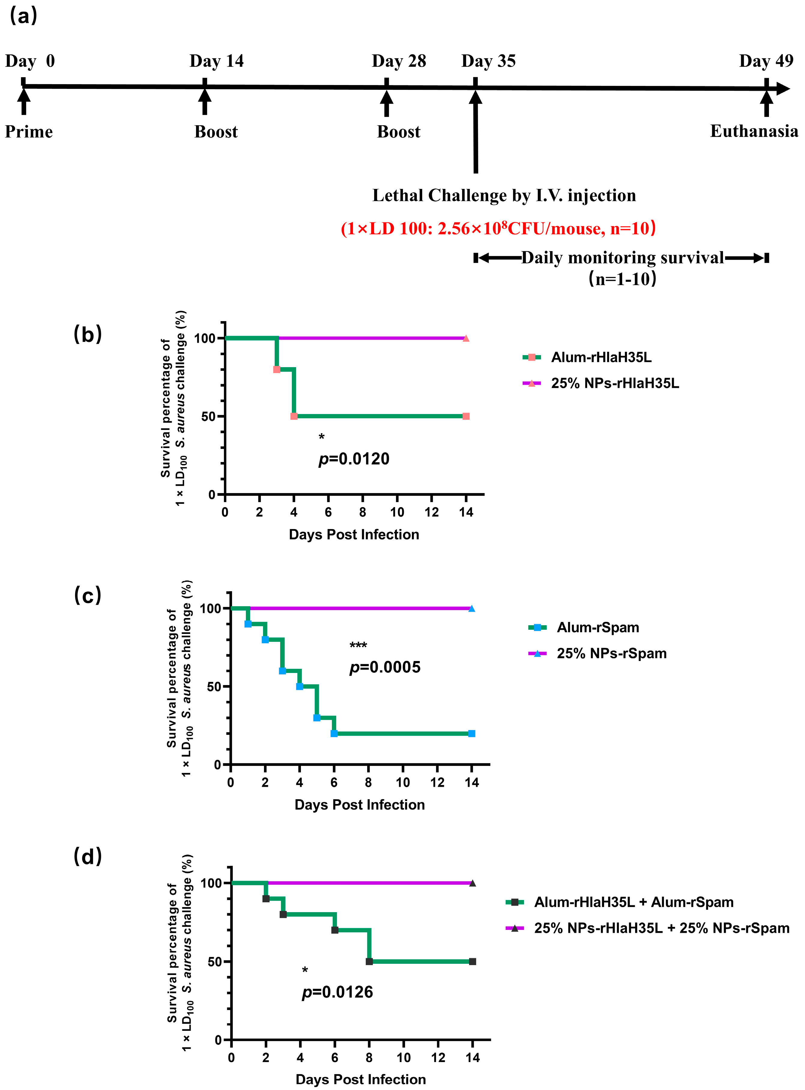 Vaccines 13 00317 g005