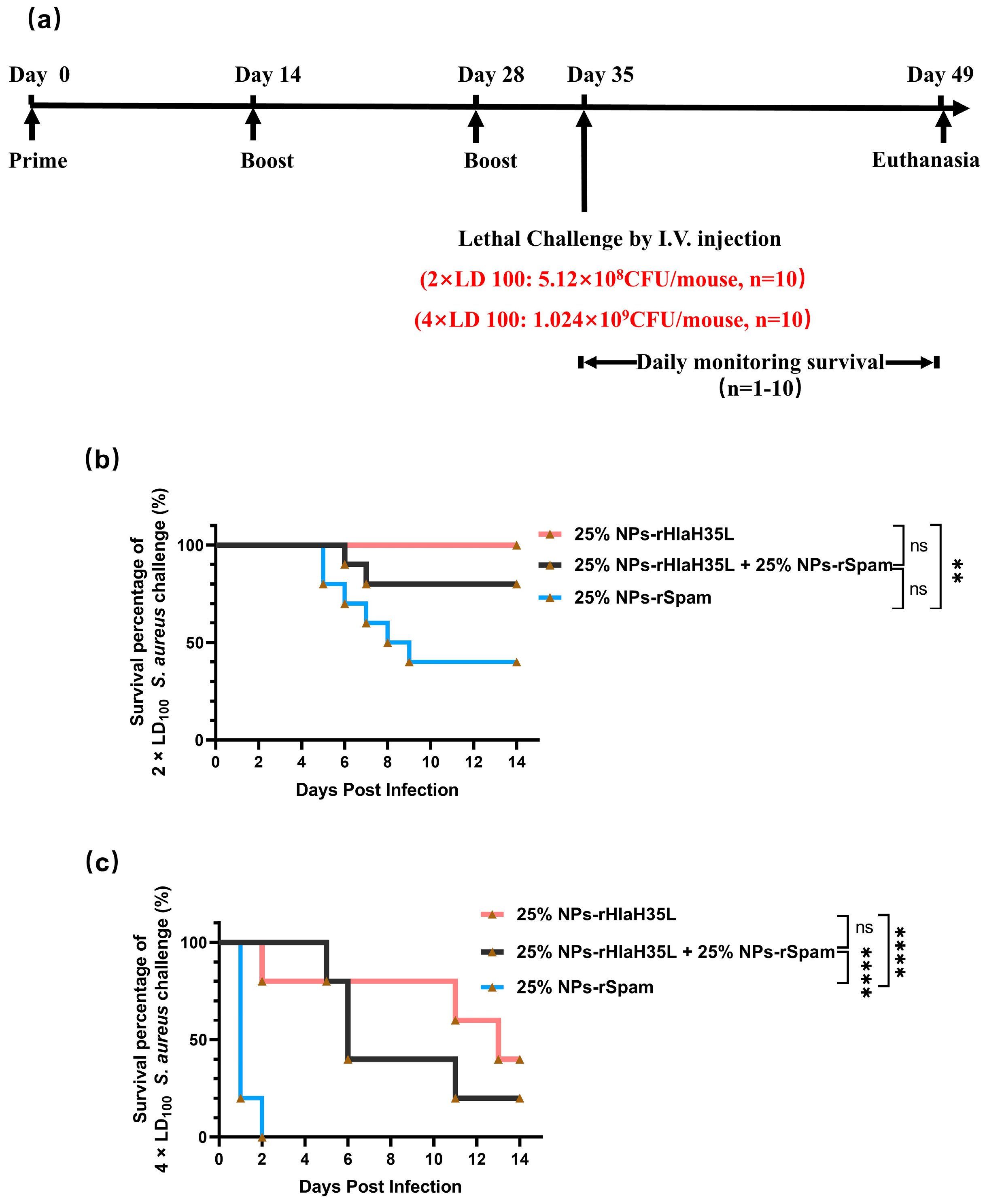 Vaccines 13 00317 g006