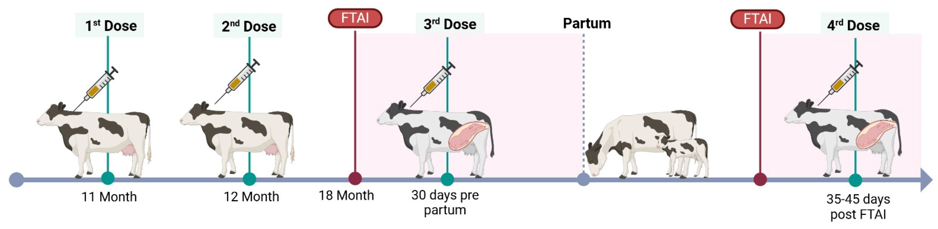 Vaccines 13 00319 g001 Vaccines 13 00319 g001