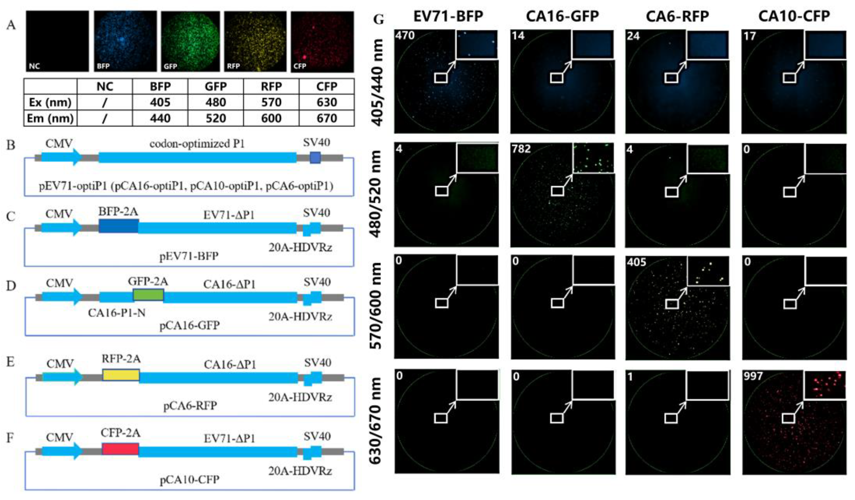 Vaccines 13 00320 g001