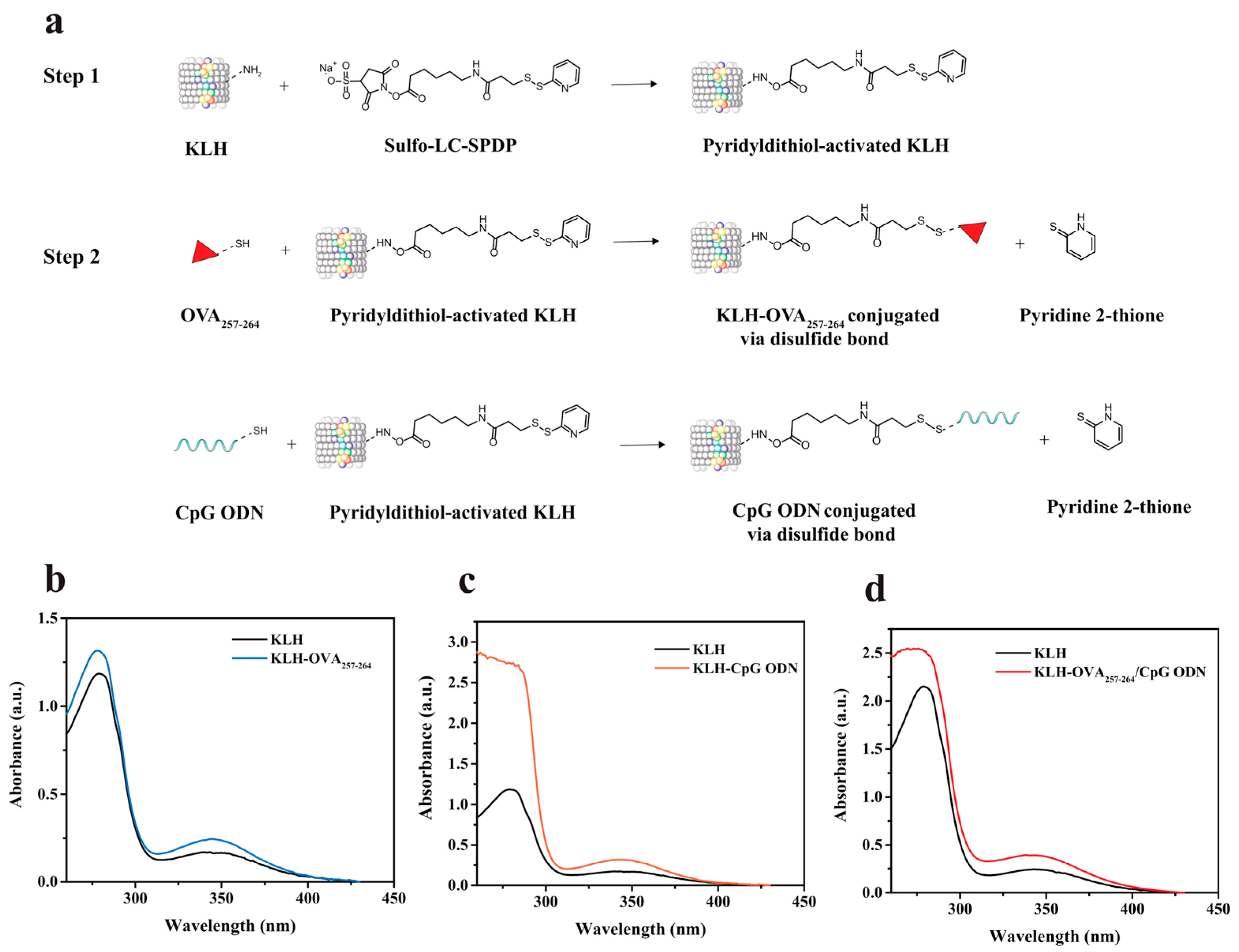 Vaccines 13 00324 g001