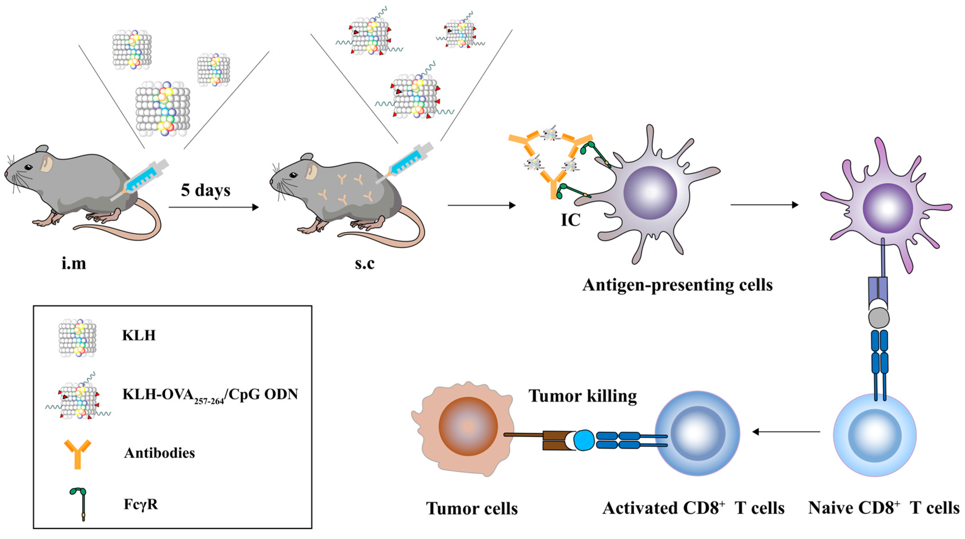 Vaccines 13 00324 sch001