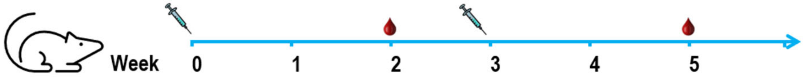 Vaccines 13 00326 g001