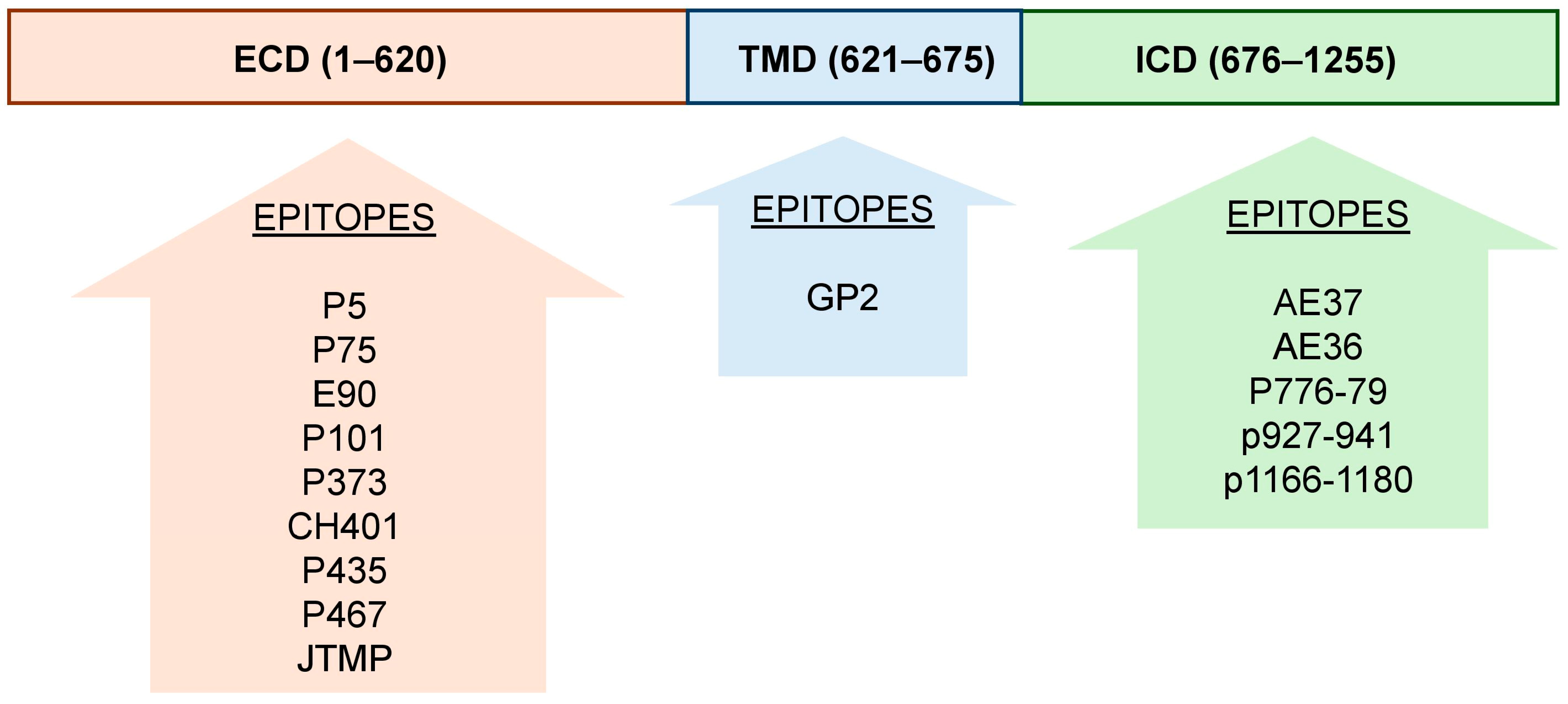 Vaccines 13 00344 g001