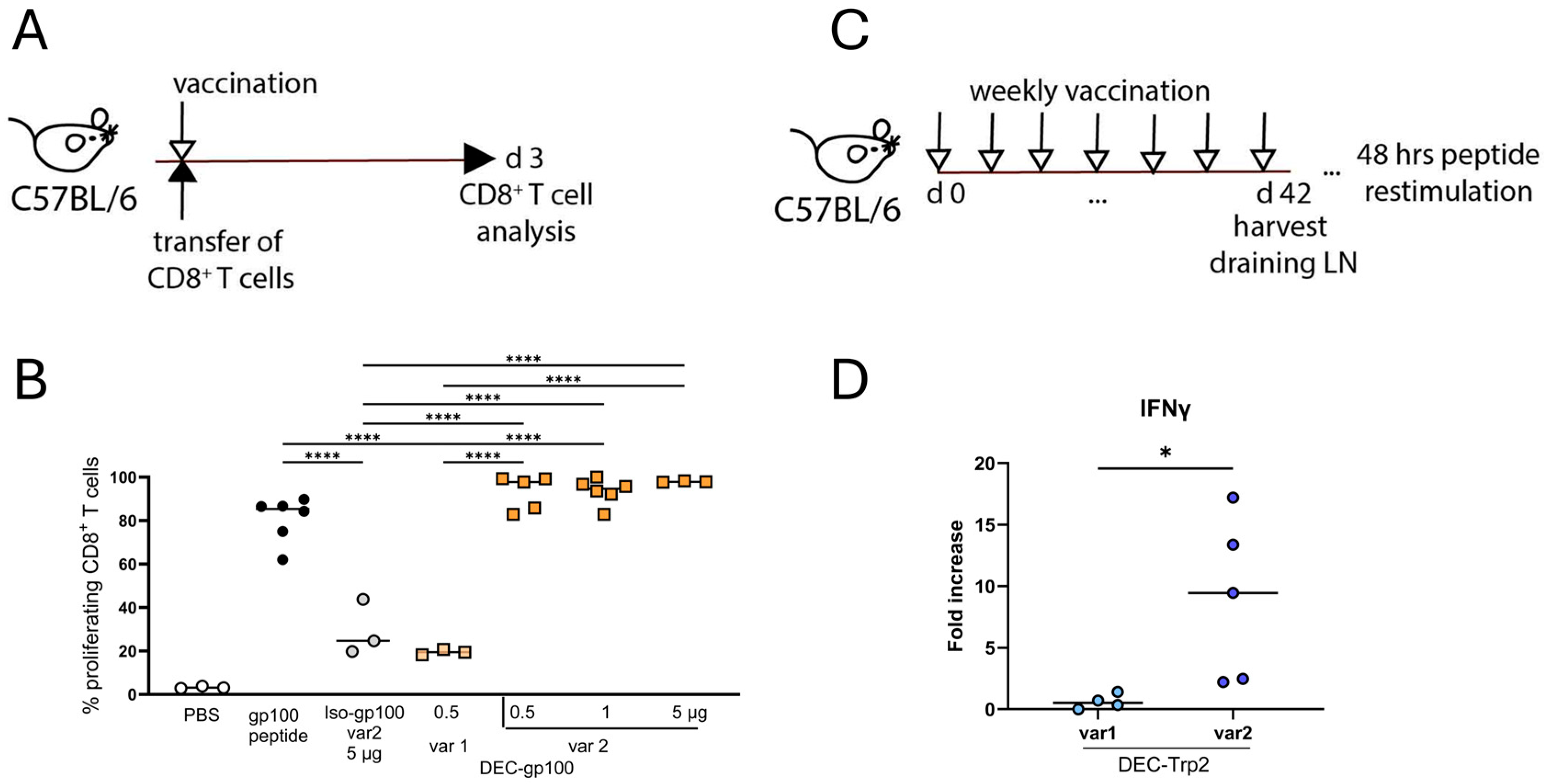 Vaccines 13 00346 g002