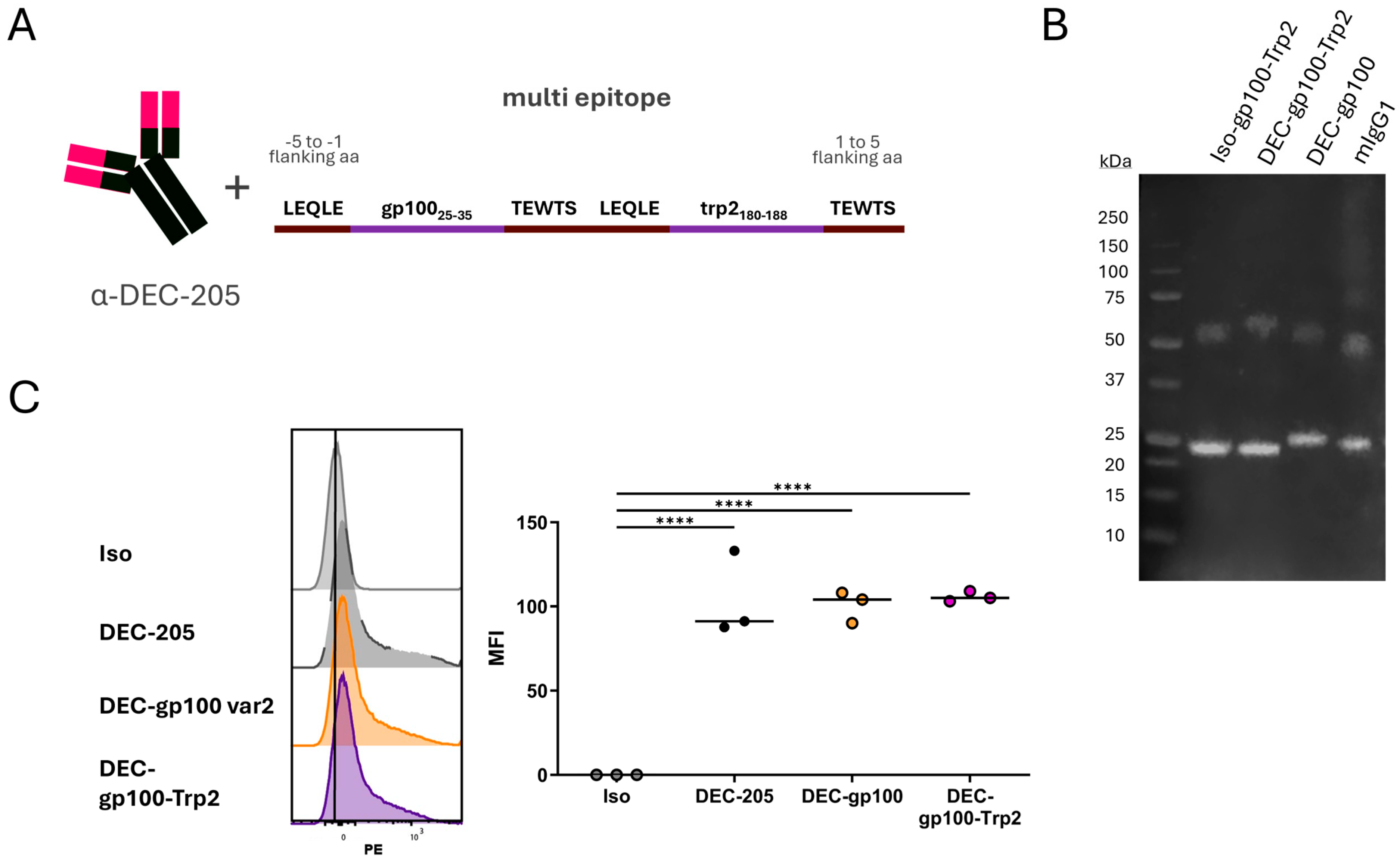 Vaccines 13 00346 g003