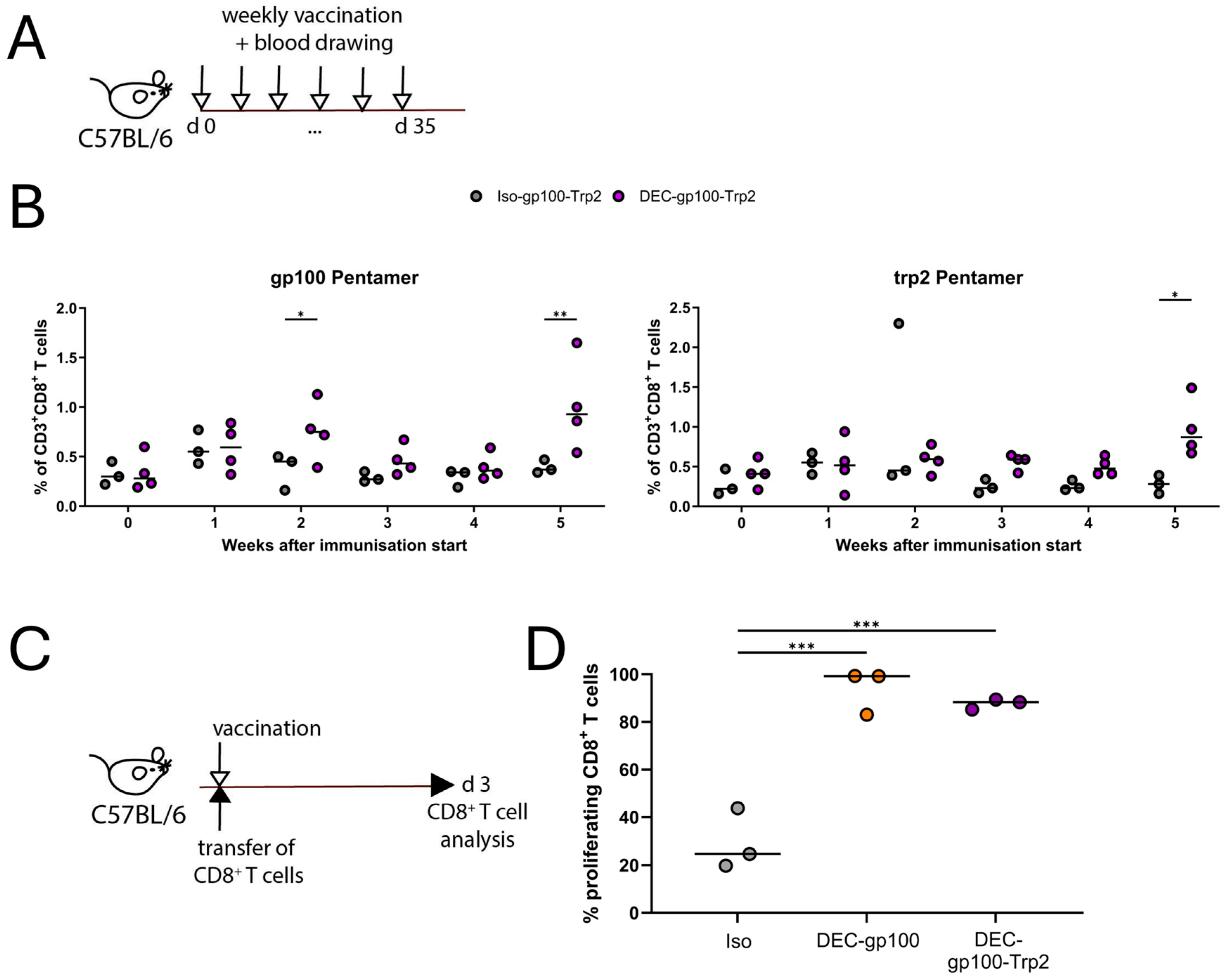 Vaccines 13 00346 g004