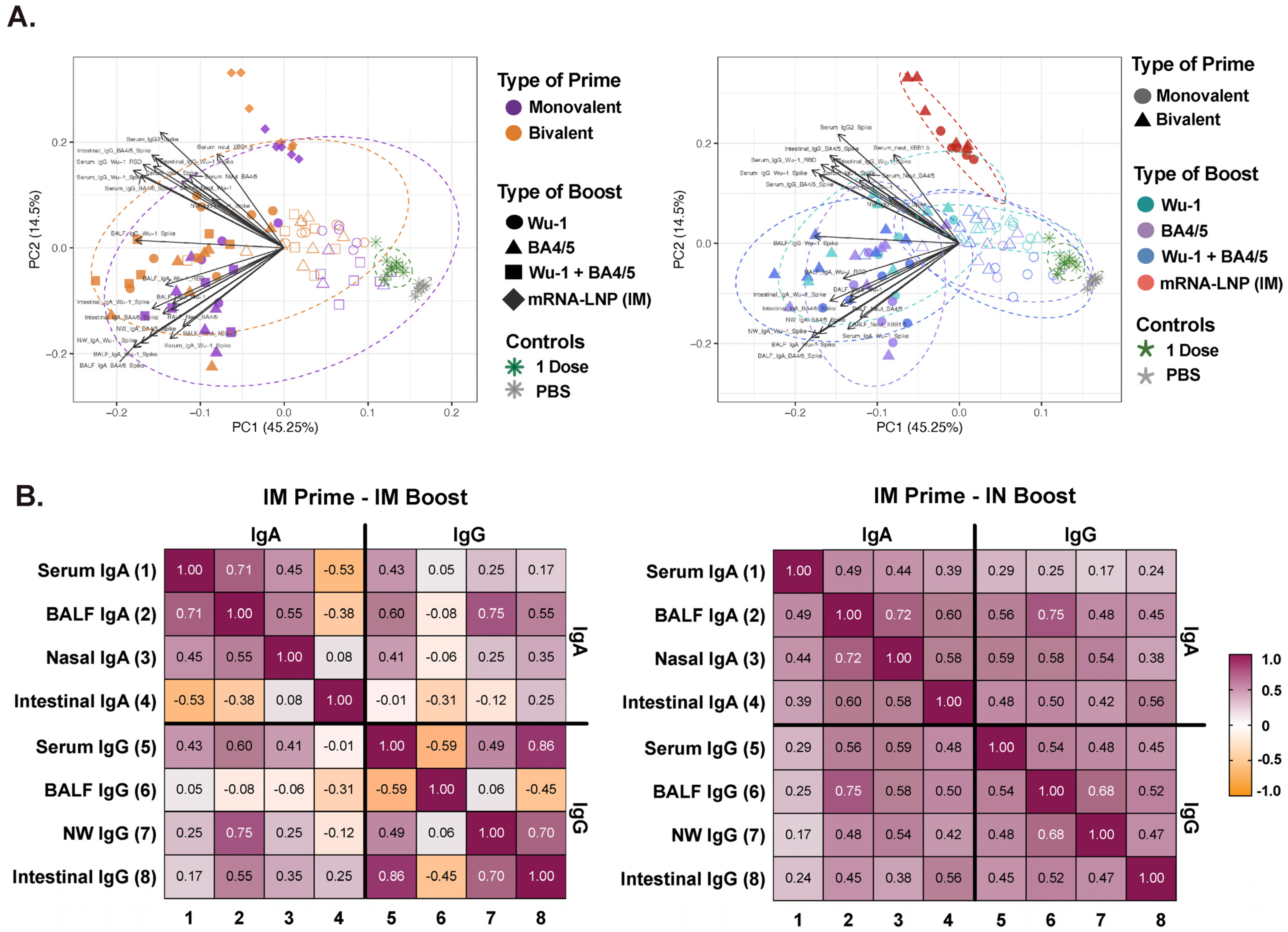 Vaccines 13 00351 g006