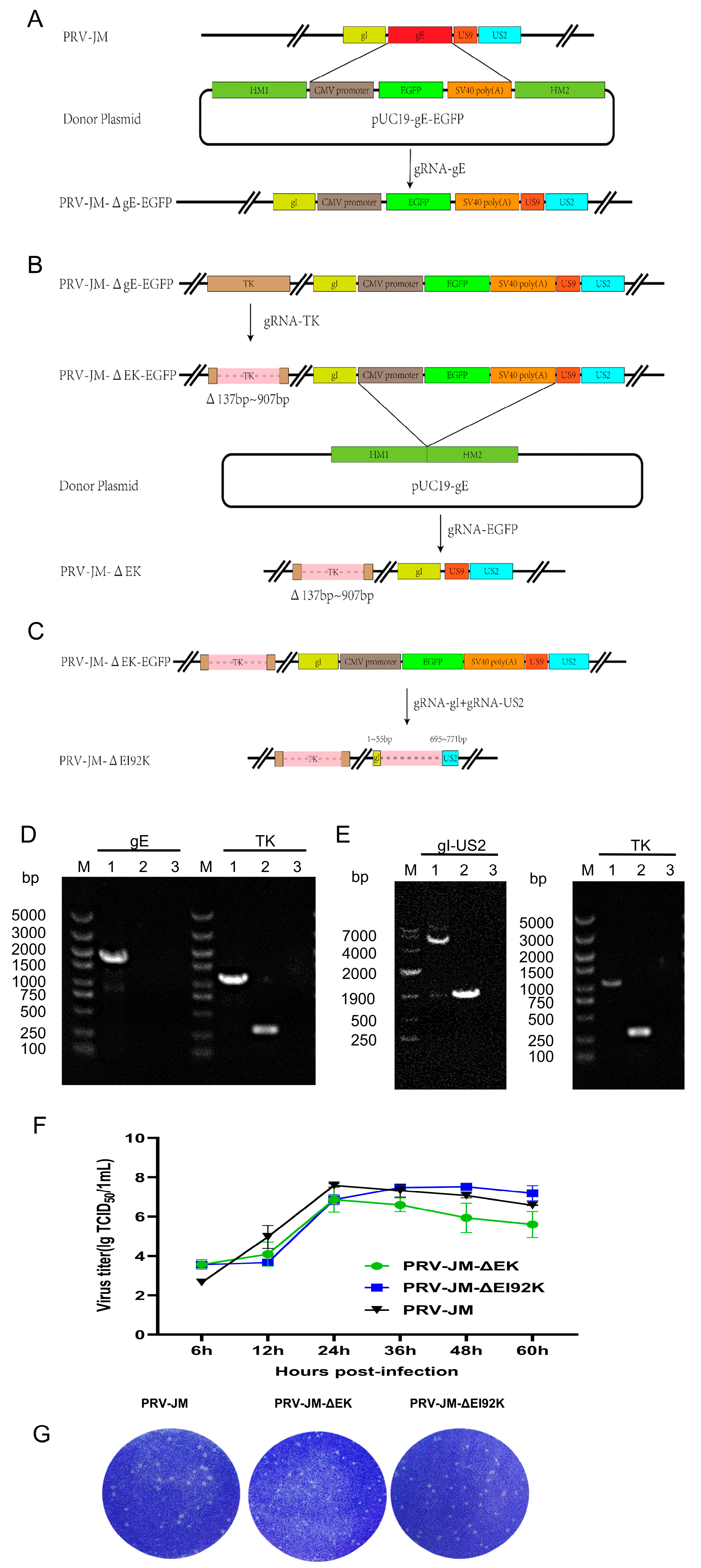 Vaccines 13 00359 g001