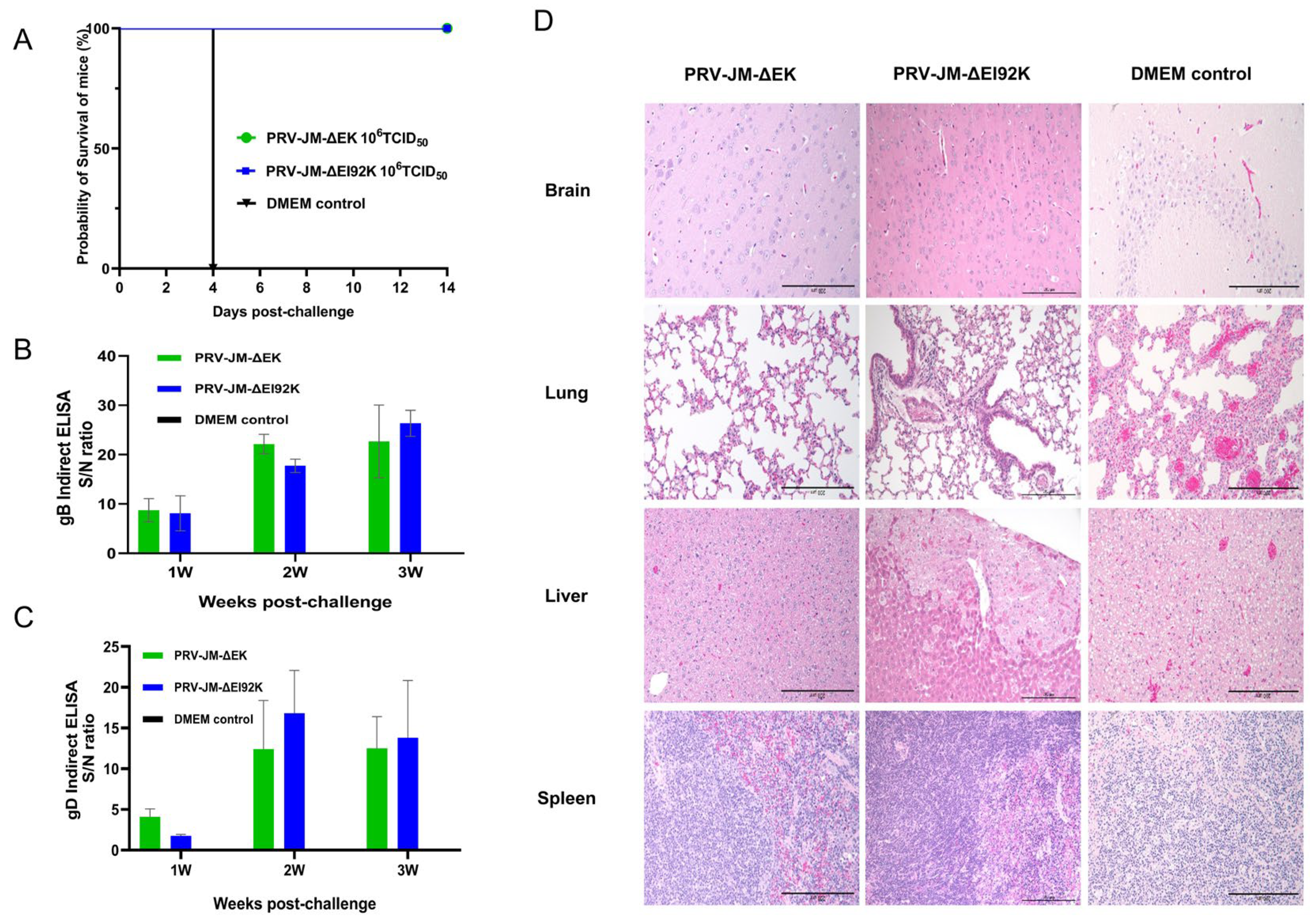 Vaccines 13 00359 g003